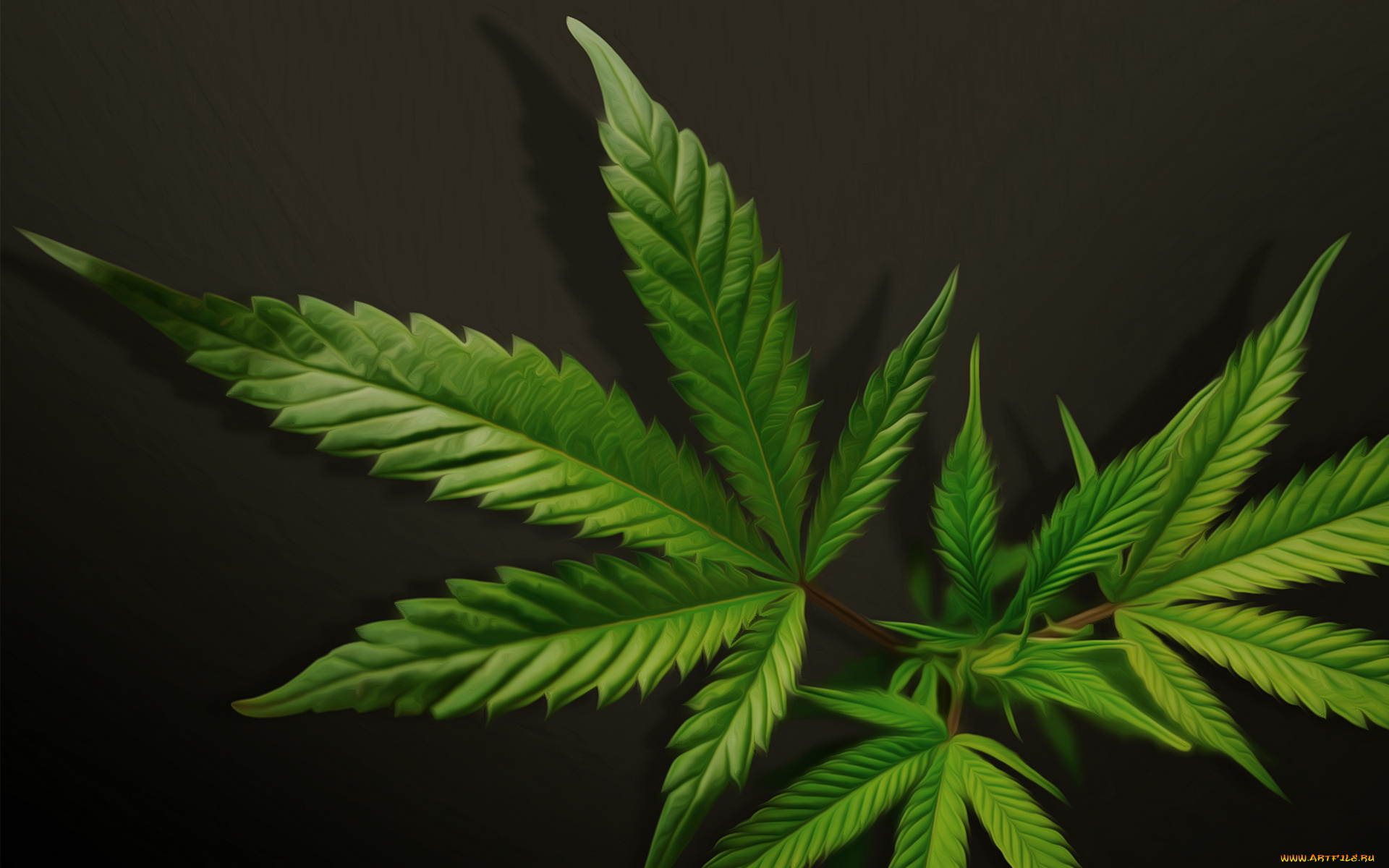 3д, графика, nature, landscape, природа, конопля, листья