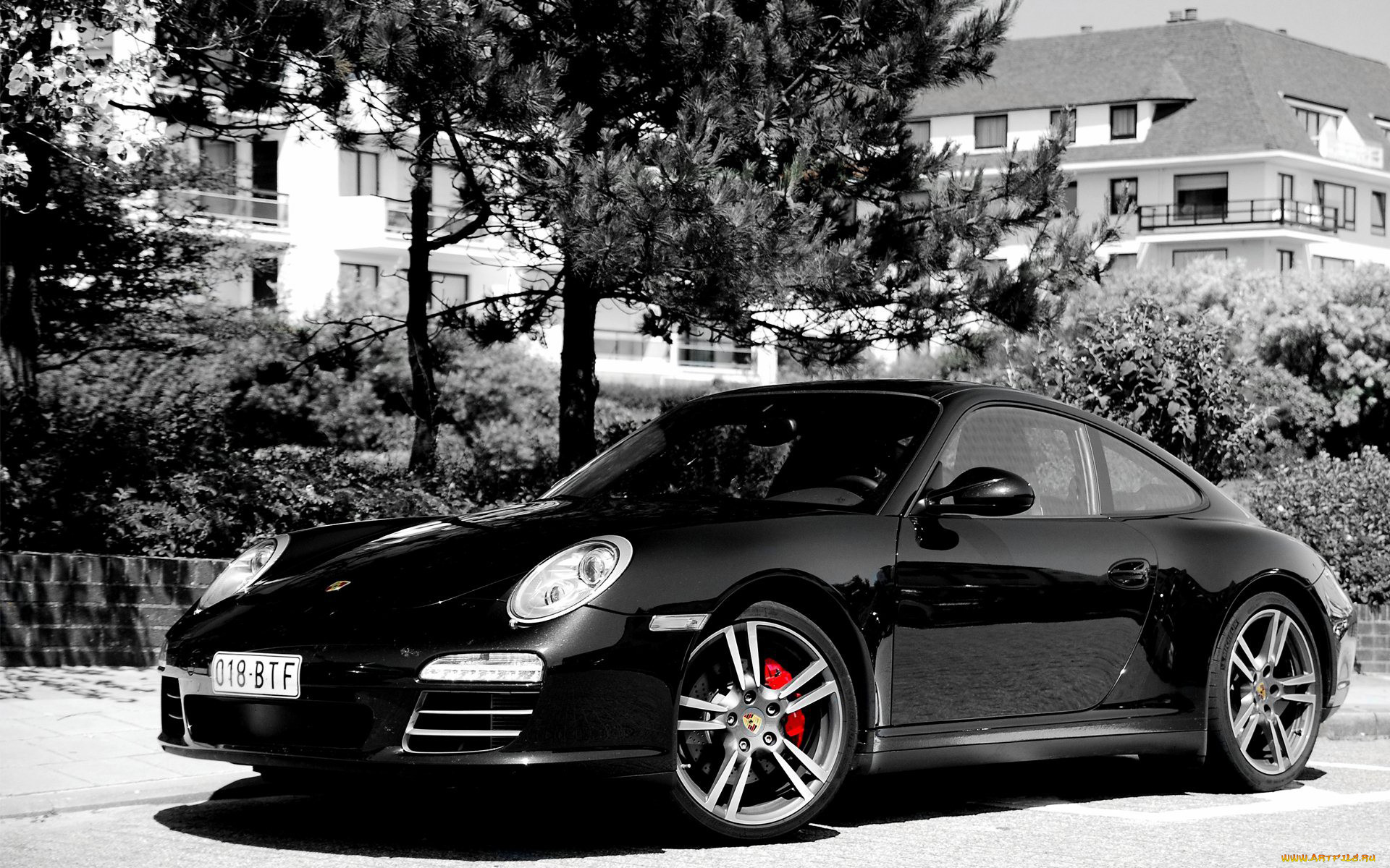 porsche, 911, carrera, автомобили, элитные, спортивные, германия