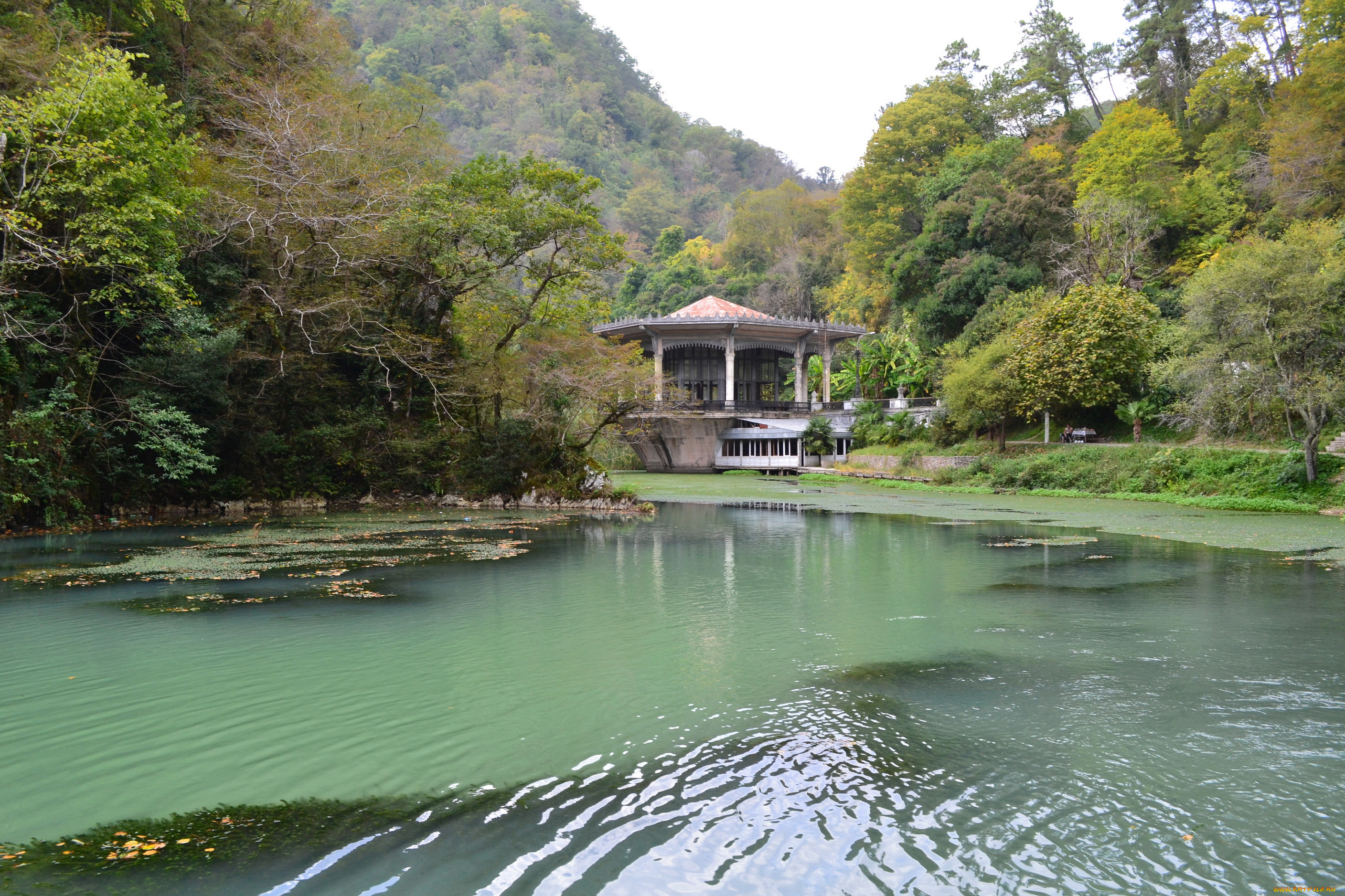 новый, афон, абхазия, природа, парк