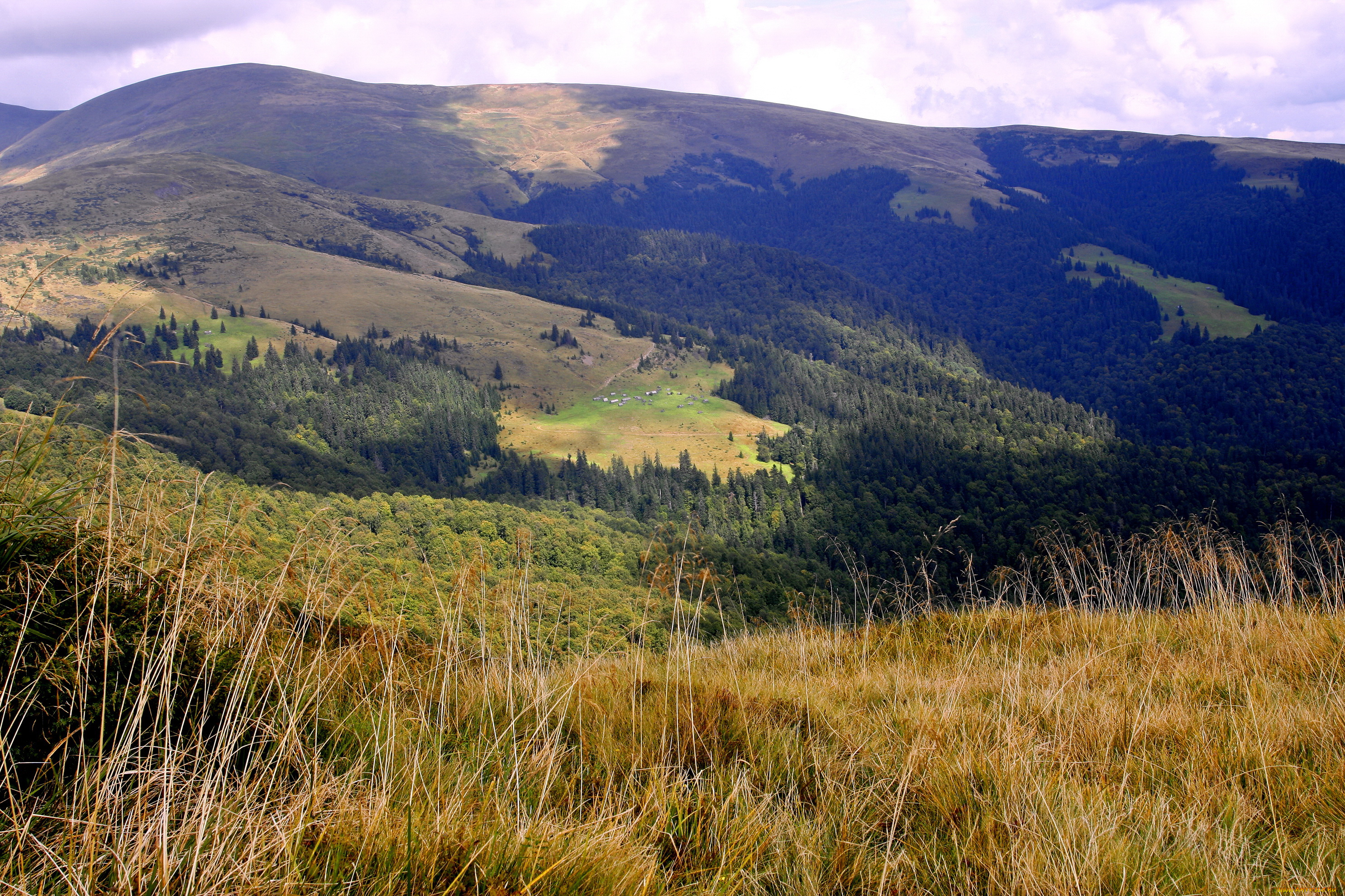 украина, закарпатье, близница, природа, горы