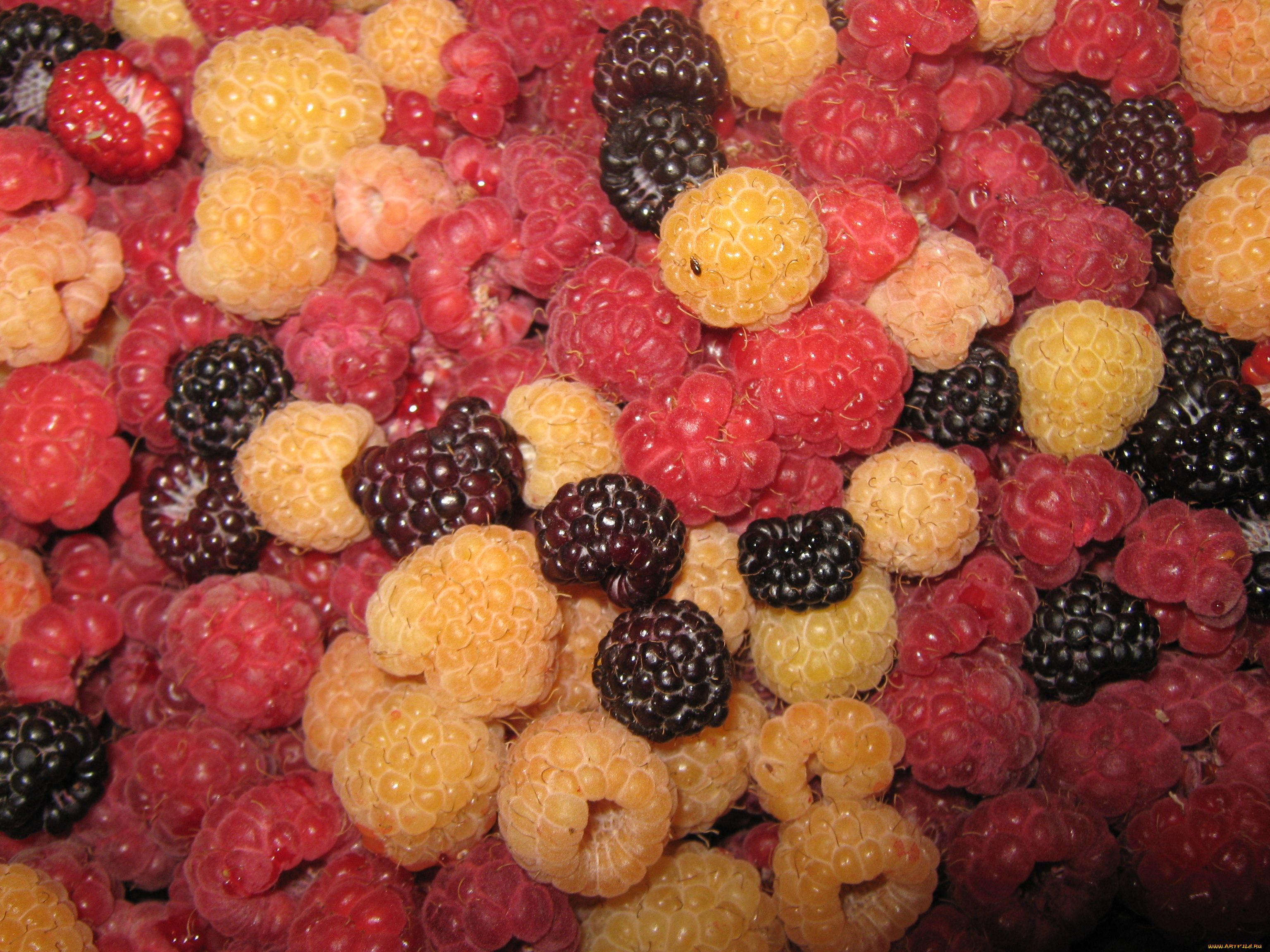 еда, малина, ягоды, витамины