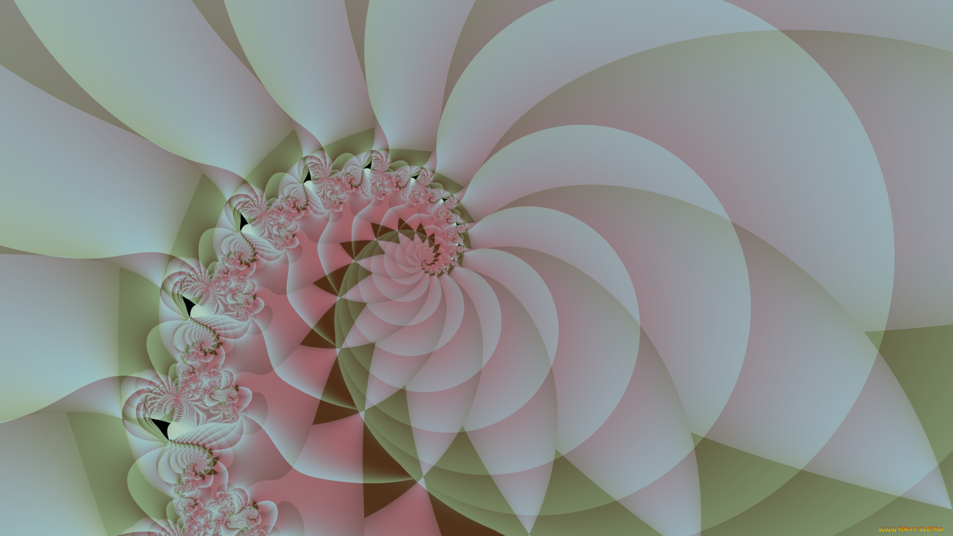 3д, графика, fractal, , фракталы, фон, цвета, узор