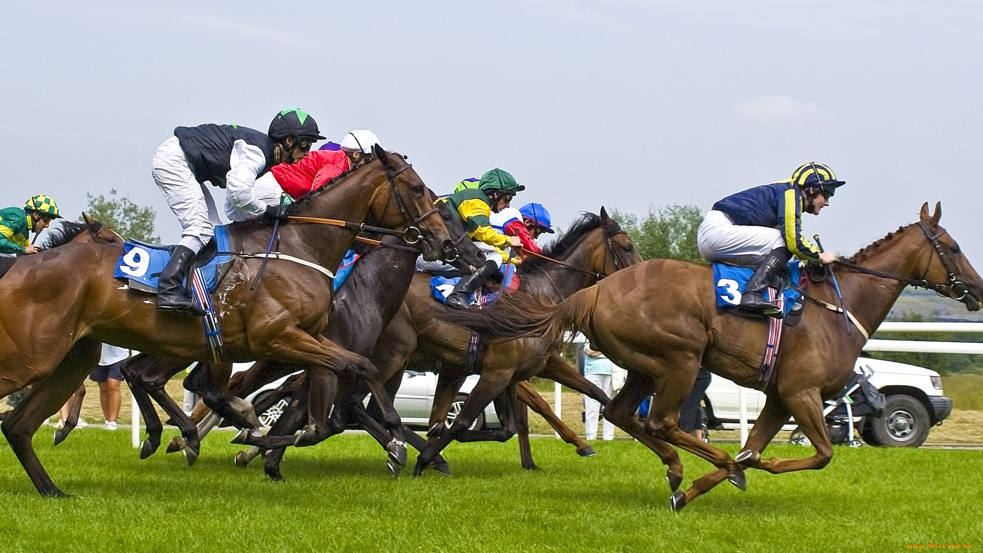 спорт, конный, спорт, скачки, лошади, наездники, ипподром