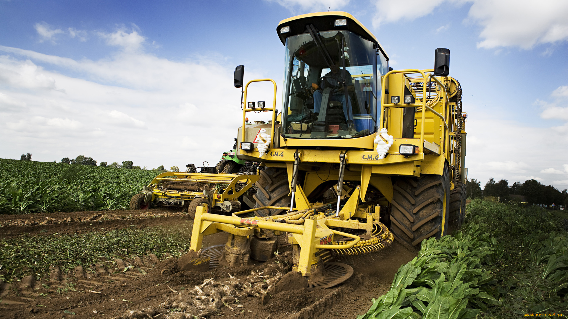 техника, другое, xxx