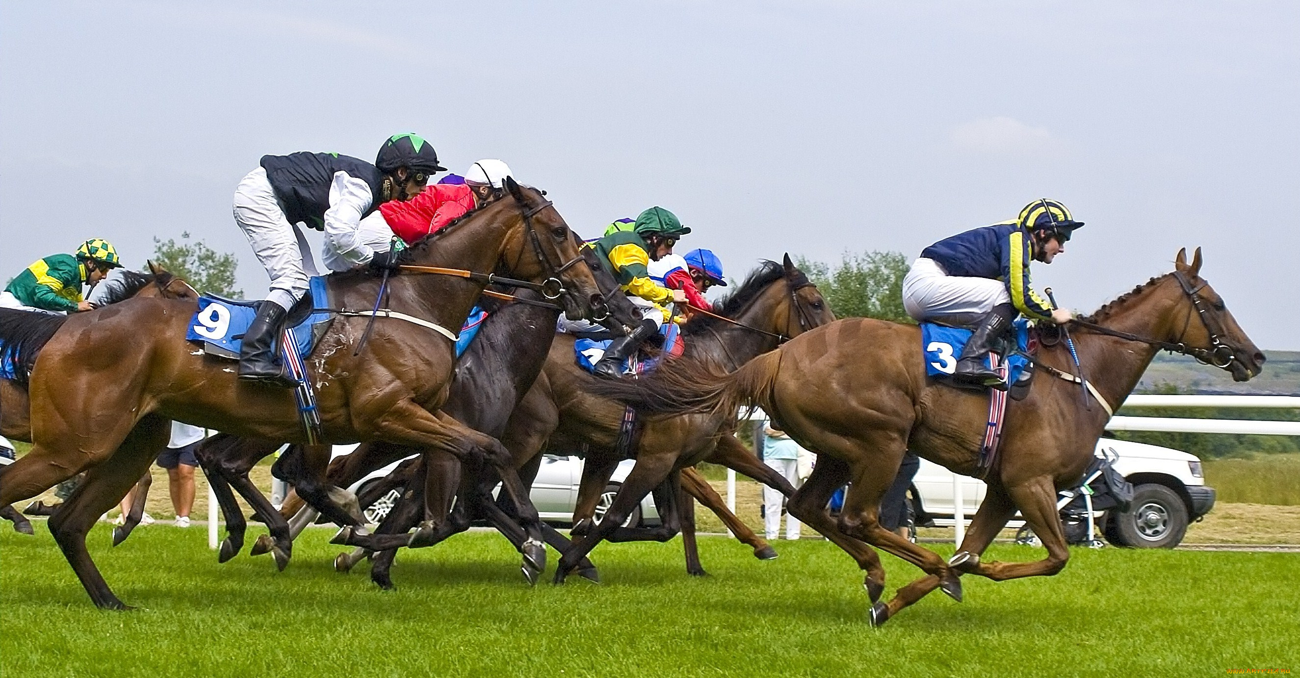 спорт, конный, спорт, скачки, лошади, наездники, ипподром