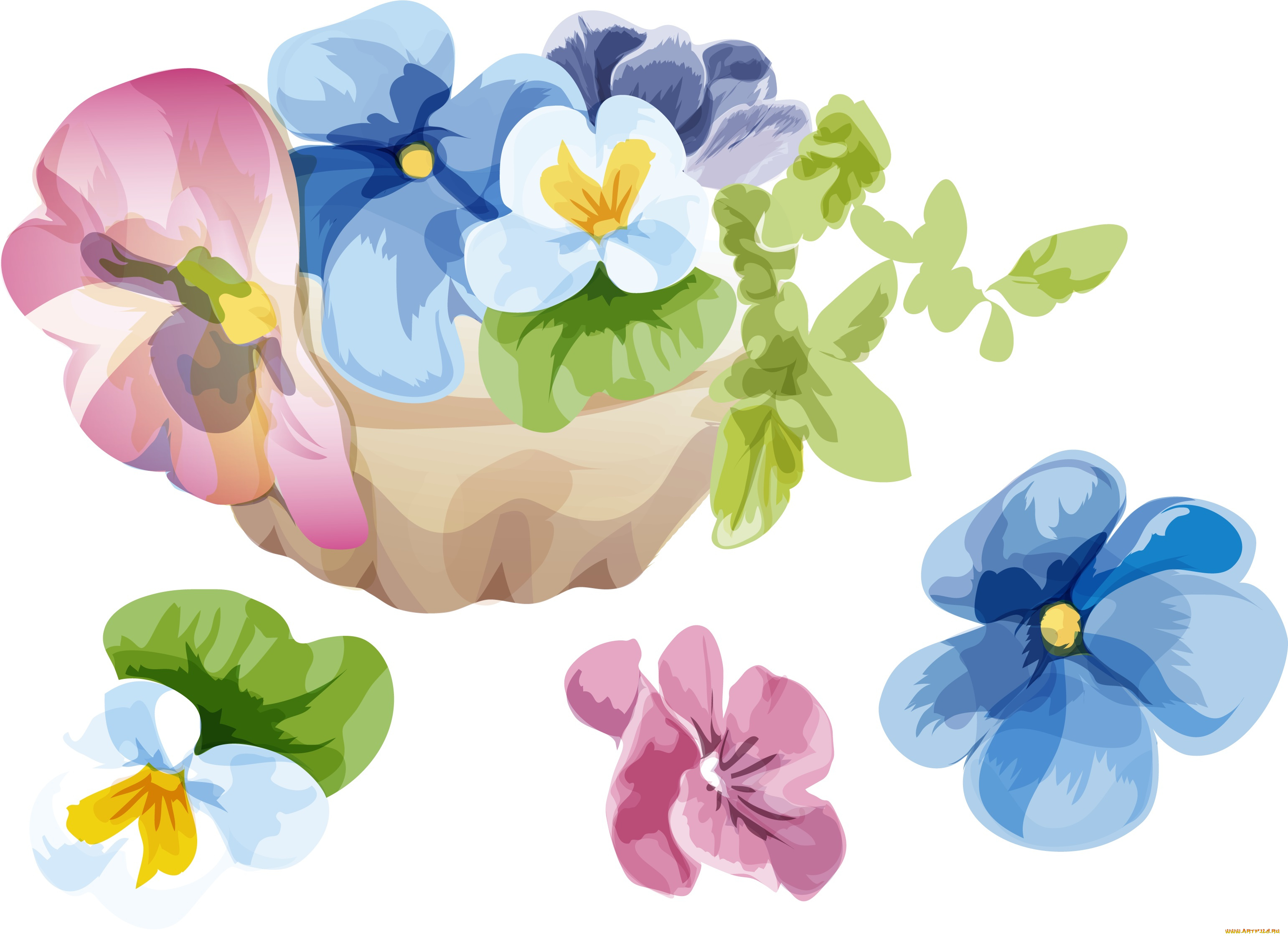 векторная, графика, анютины, глазки