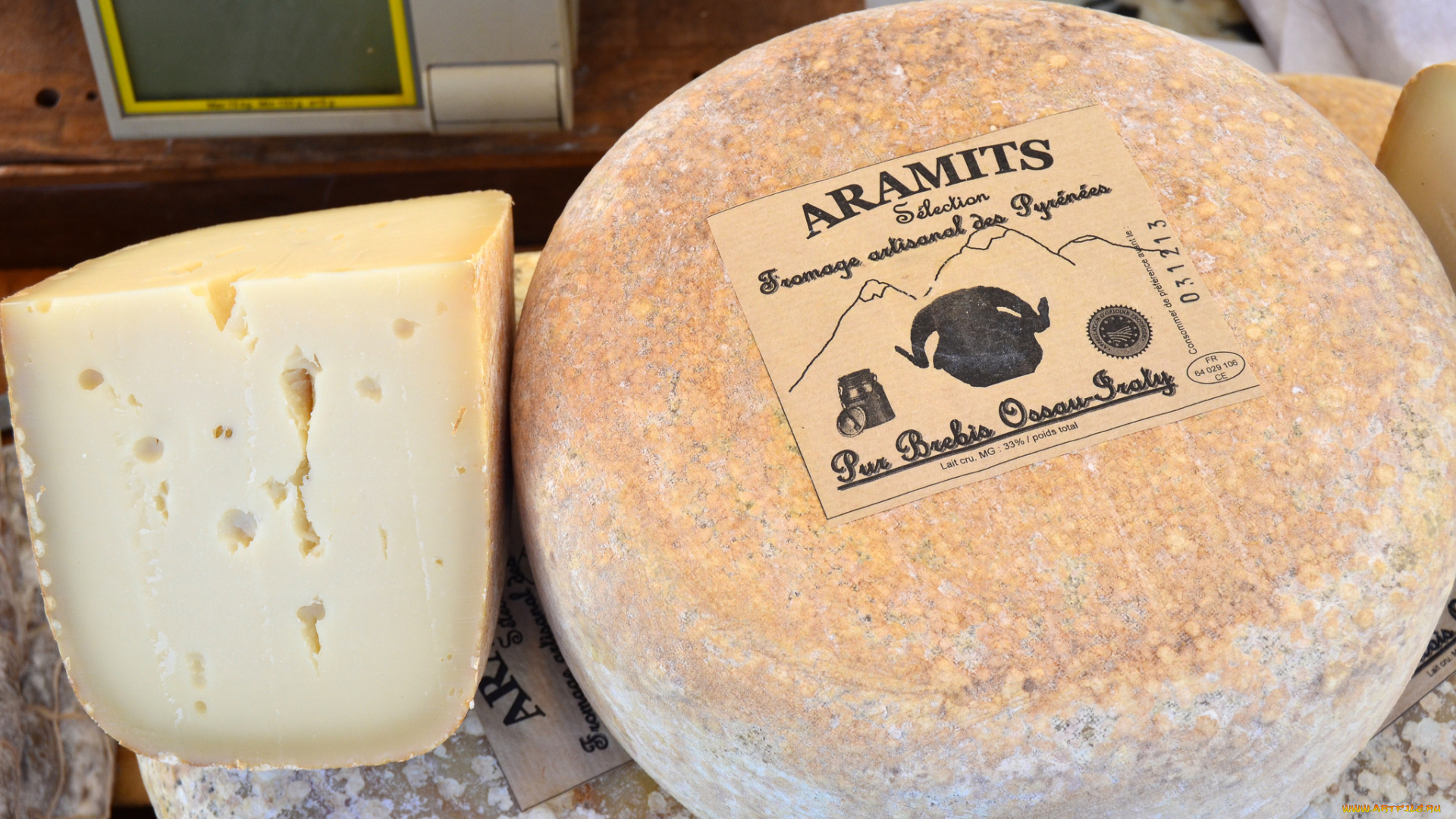 aramits, pur, brebis, еда, сырные, изделия, сыр