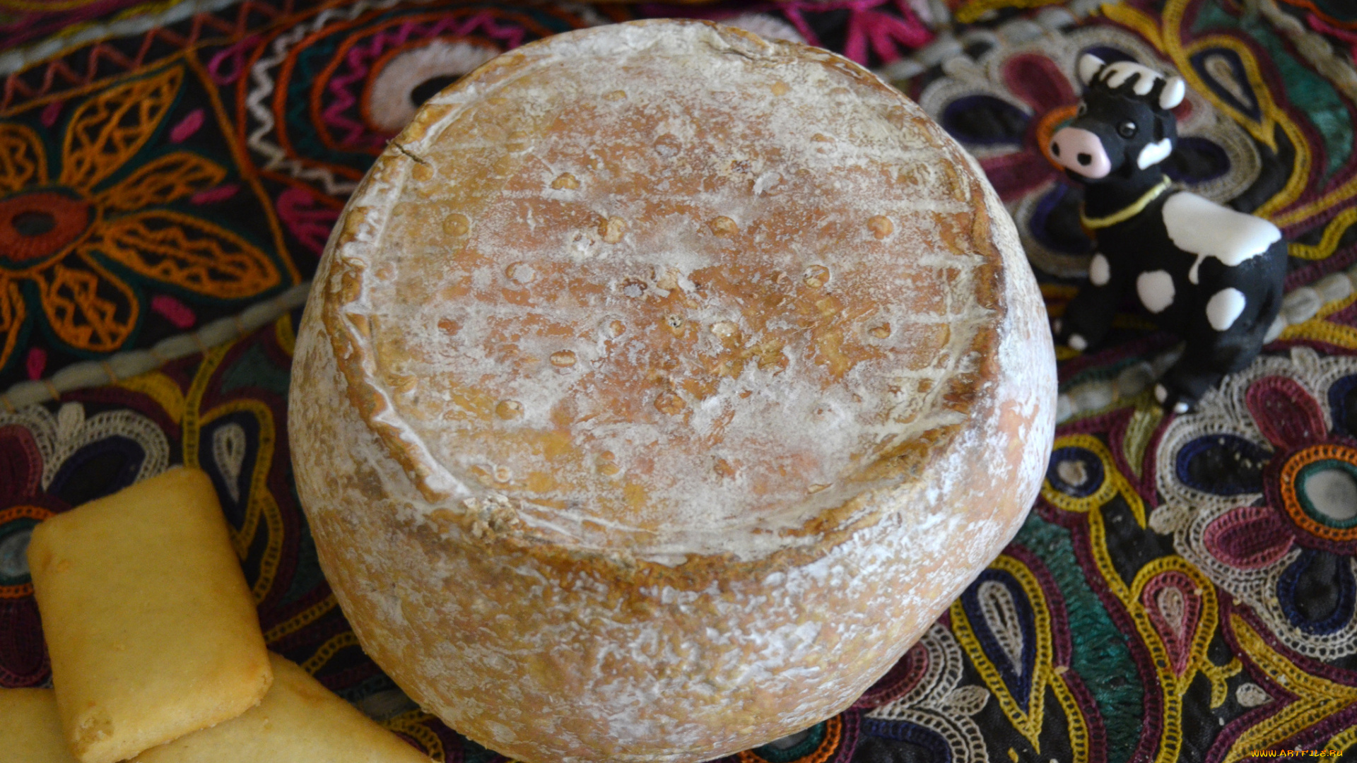 caste&, 769, rieu, еда, сырные, изделия, сыр