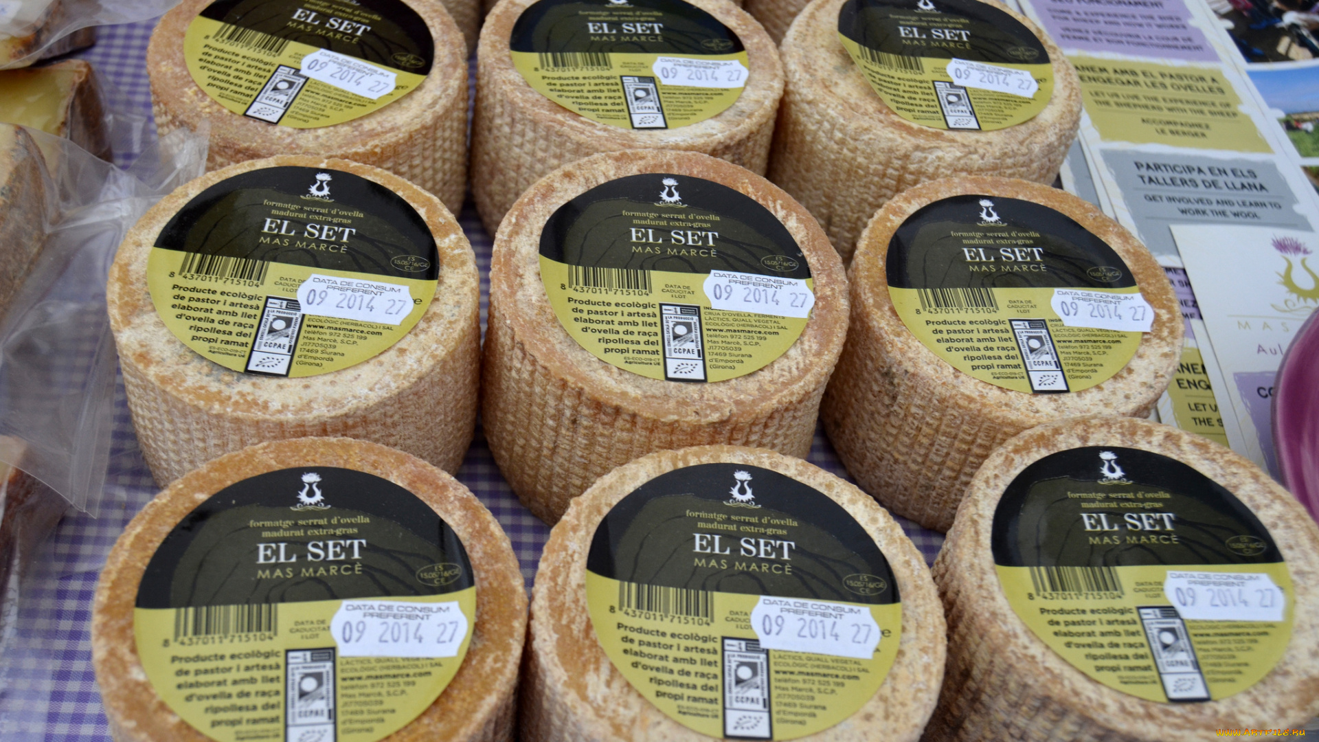 el, set, еда, сырные, изделия, сыр