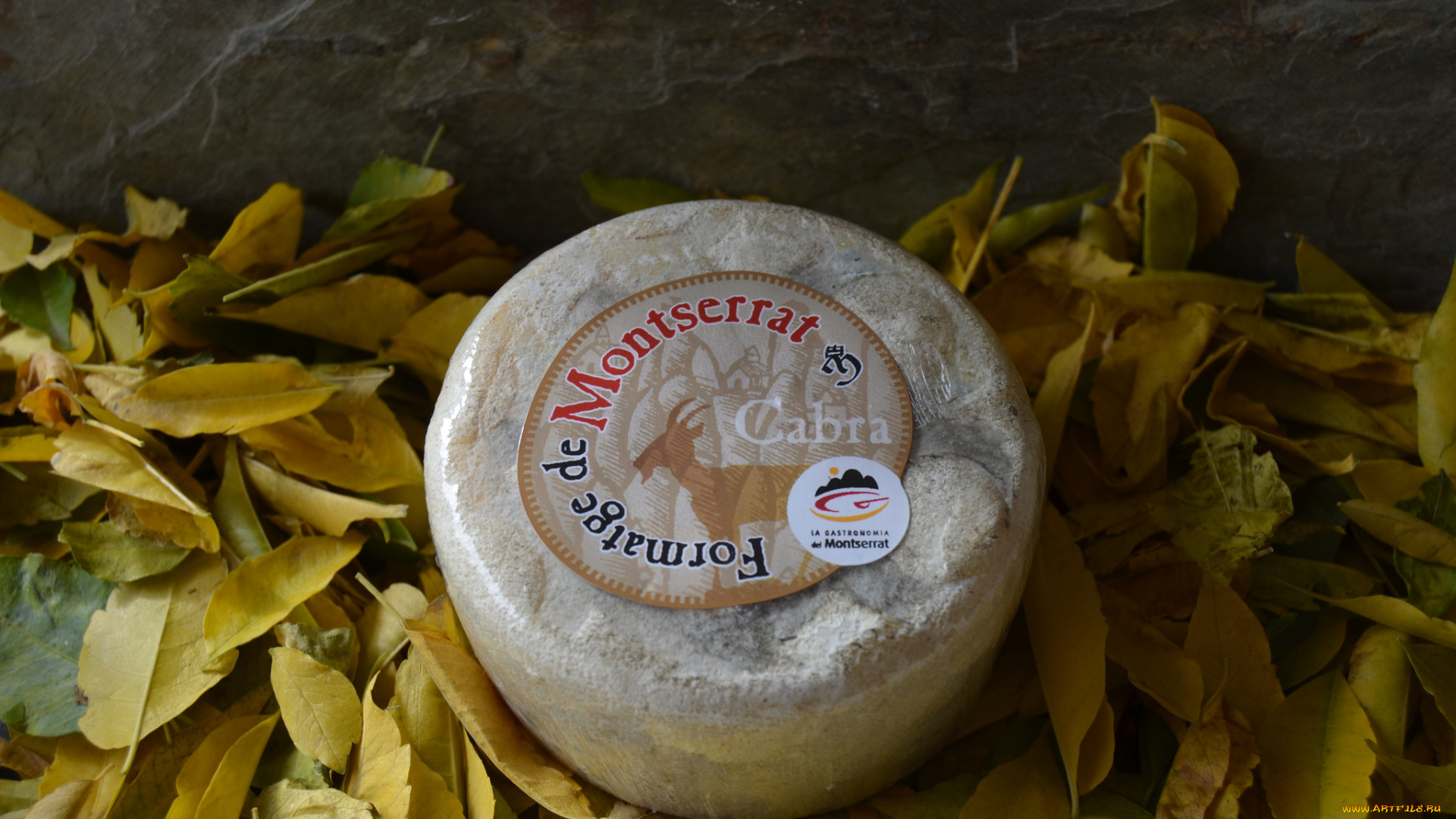 formatge, de, montserrat, еда, сырные, изделия, сыр