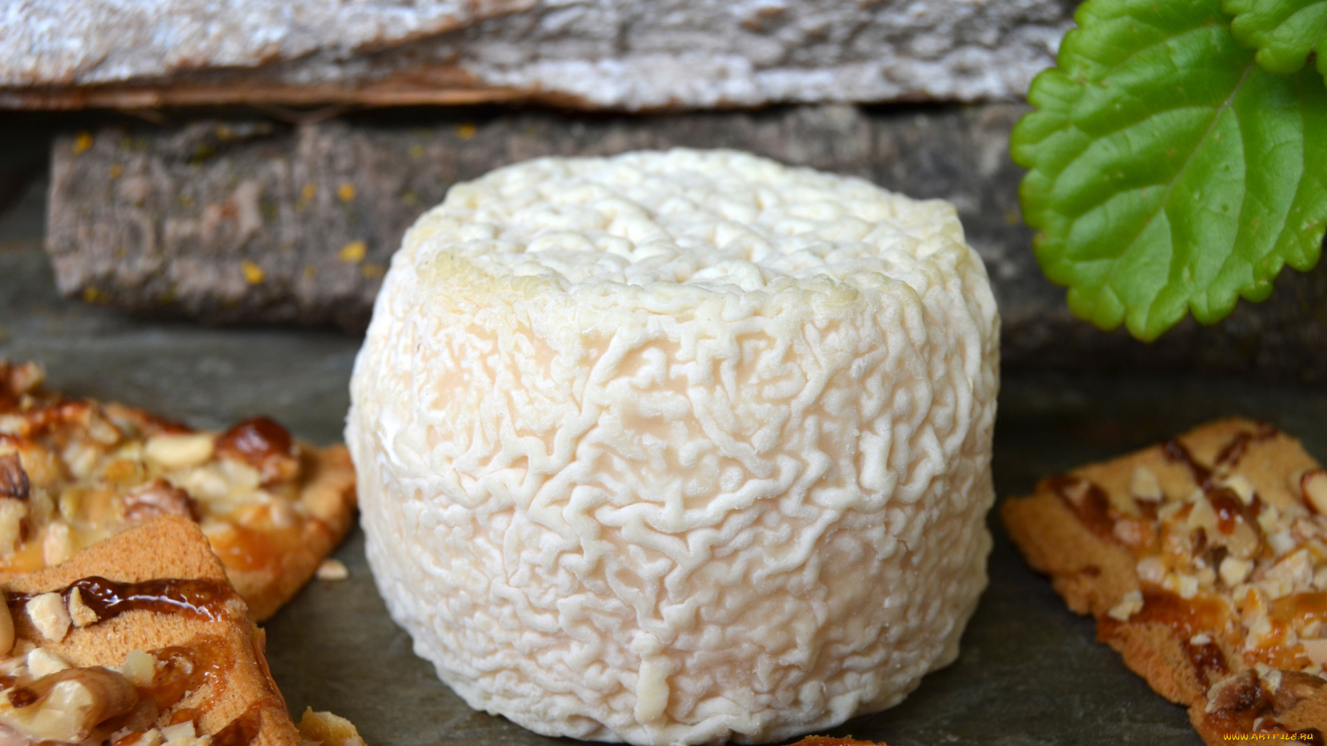 le, chevrot, еда, сырные, изделия, сыр