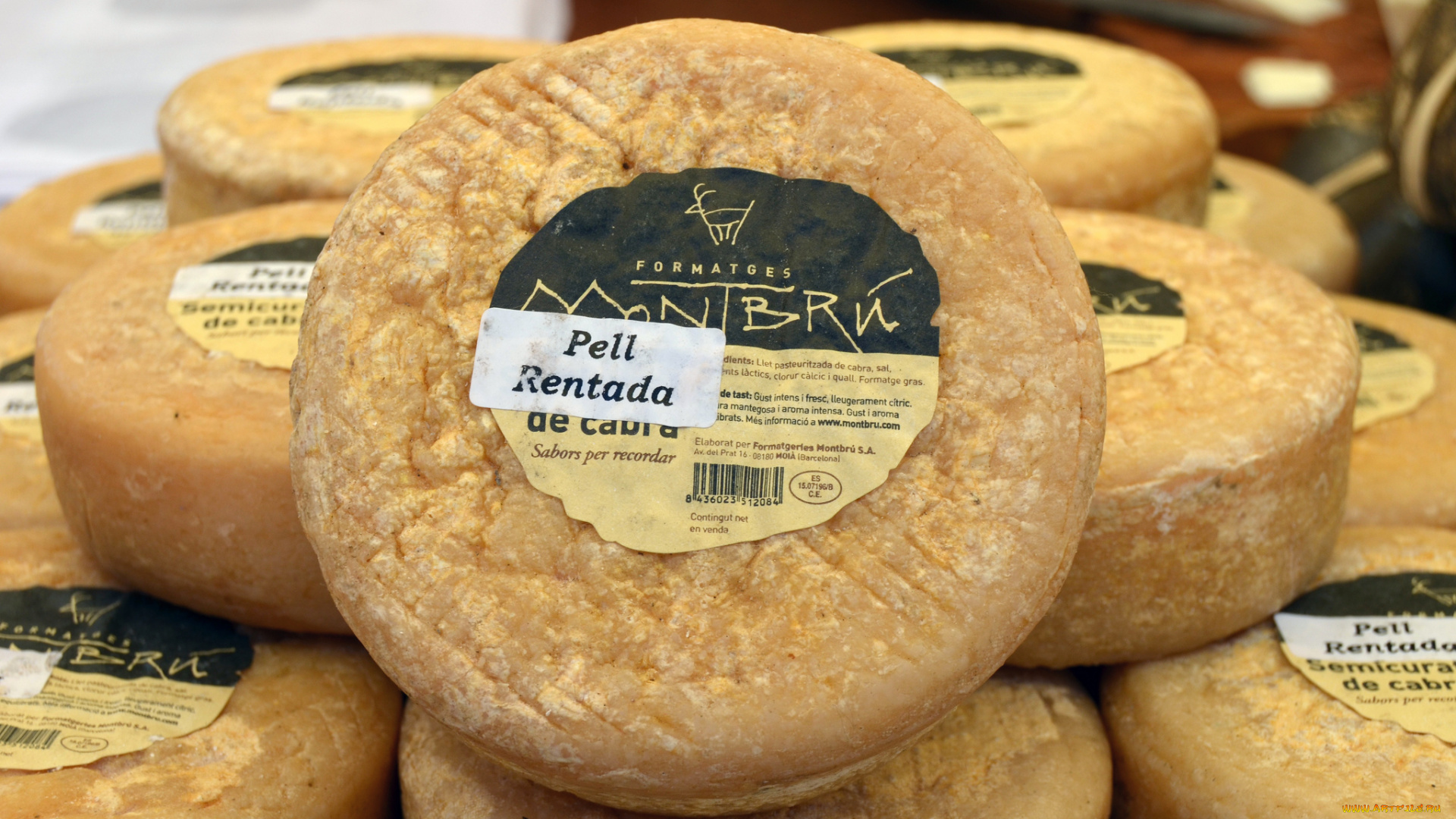 montbru, pell, rentada, еда, сырные, изделия, сыр