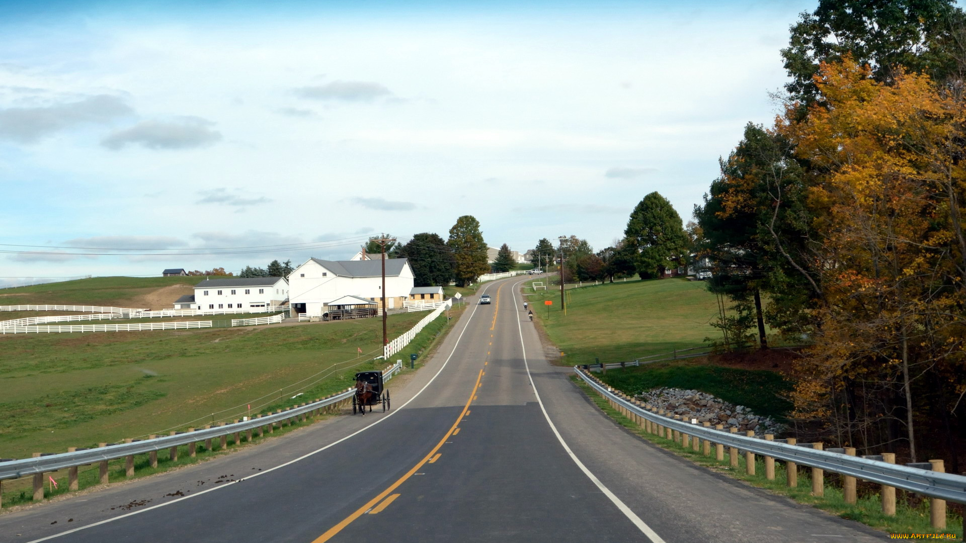 природа, дороги, повозка