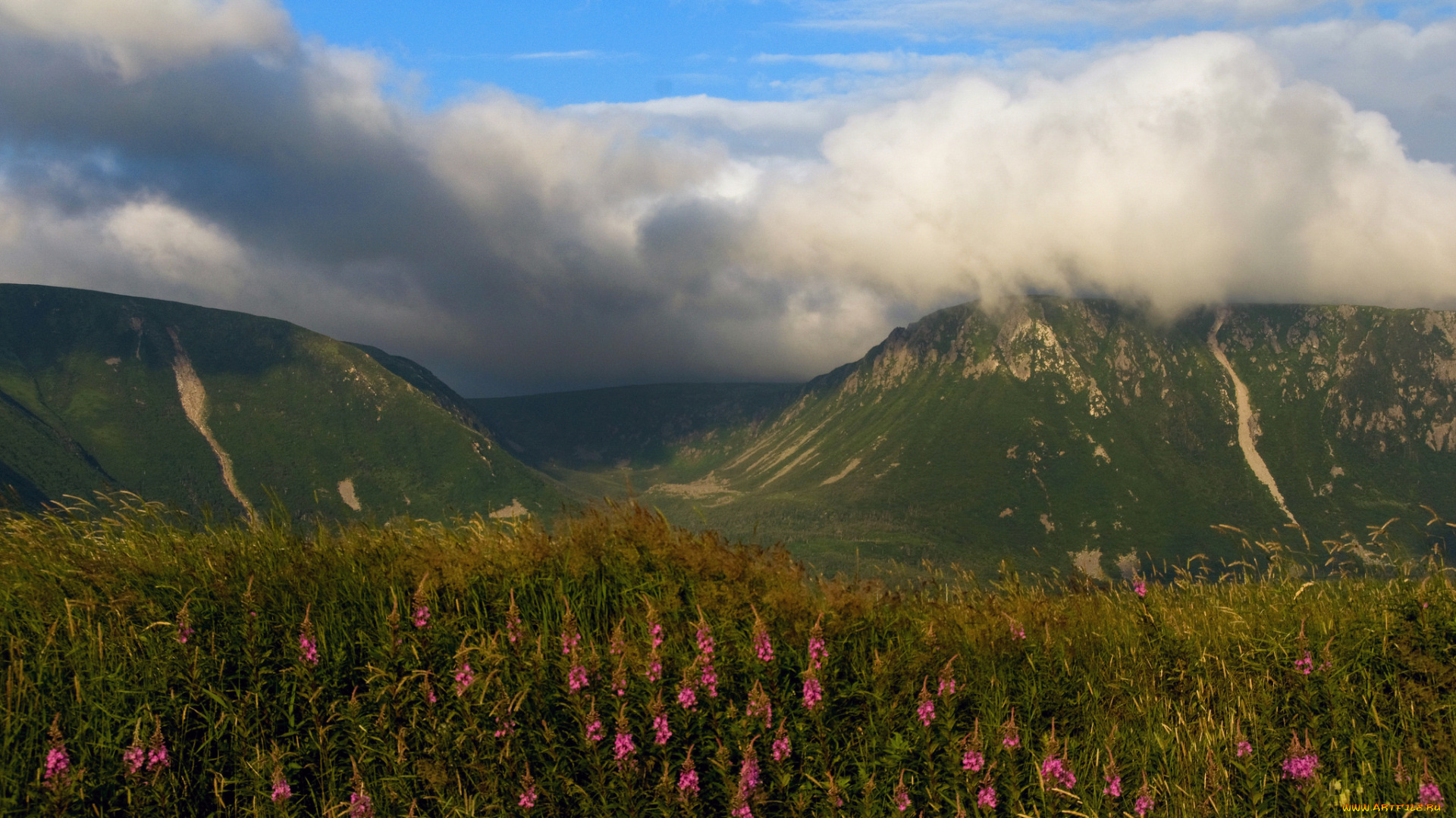 природа, горы, луг, облака