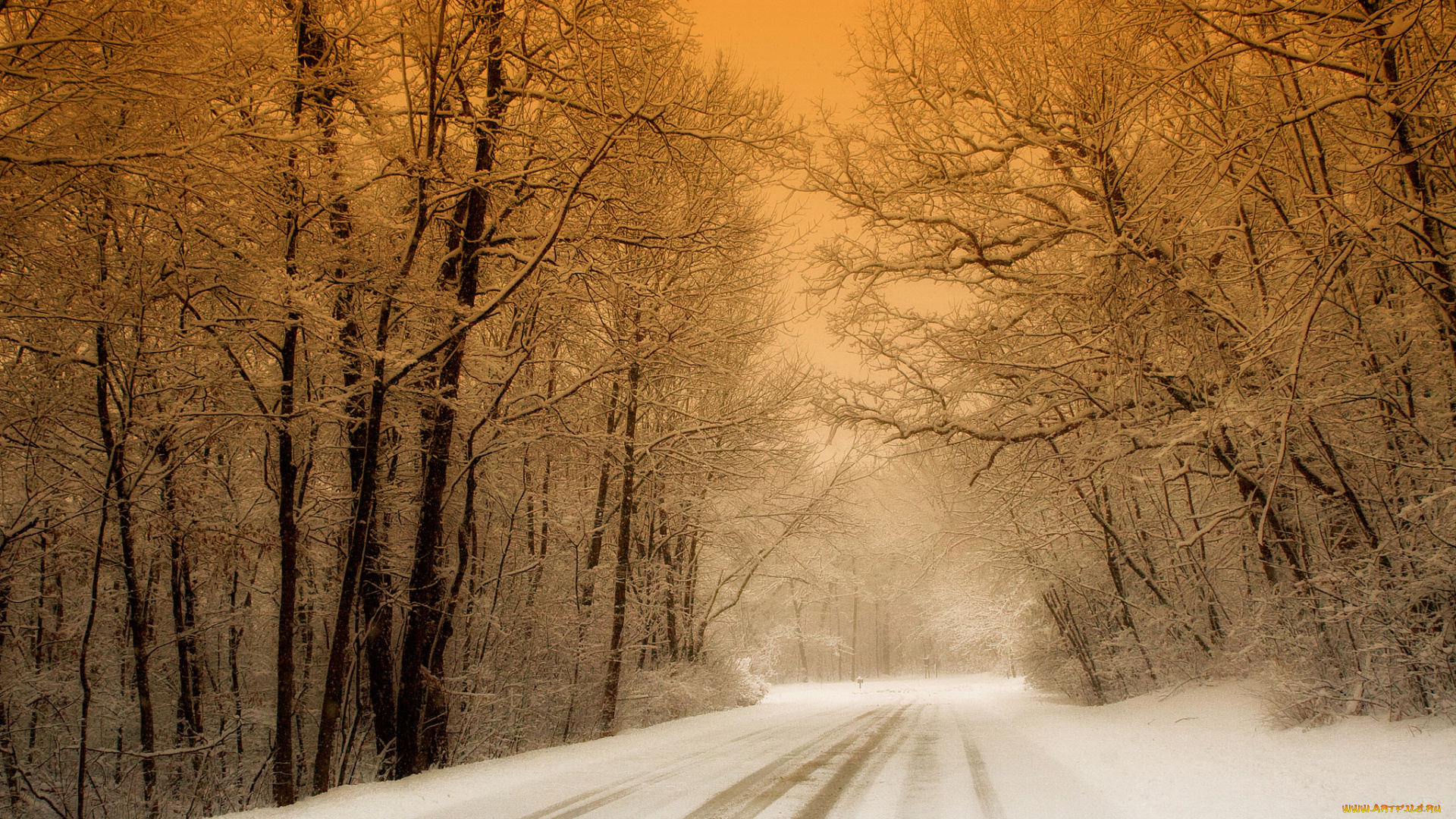 природа, зима, дорога, лес