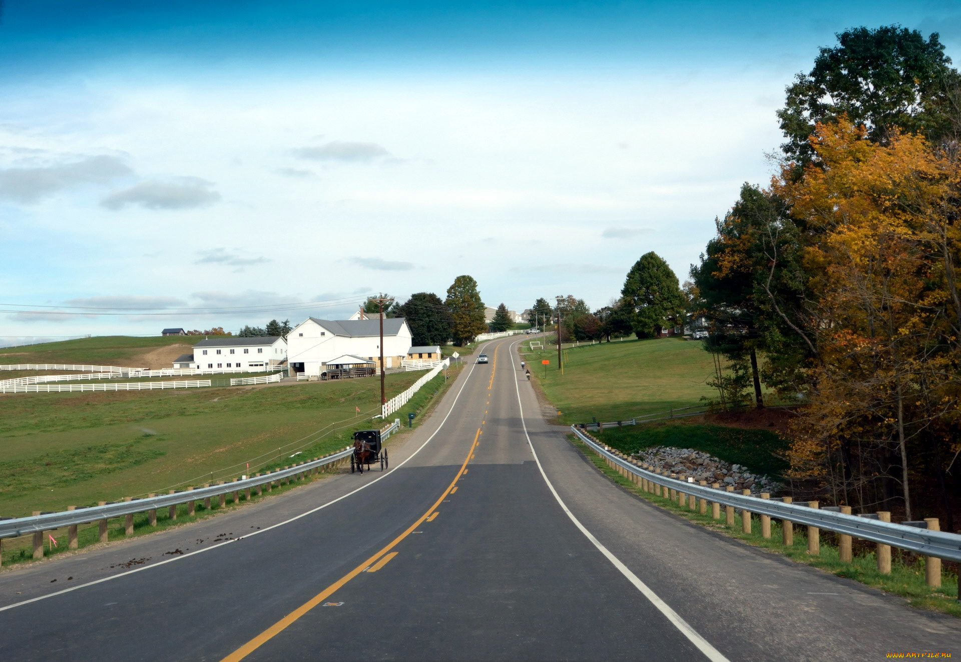 природа, дороги, повозка