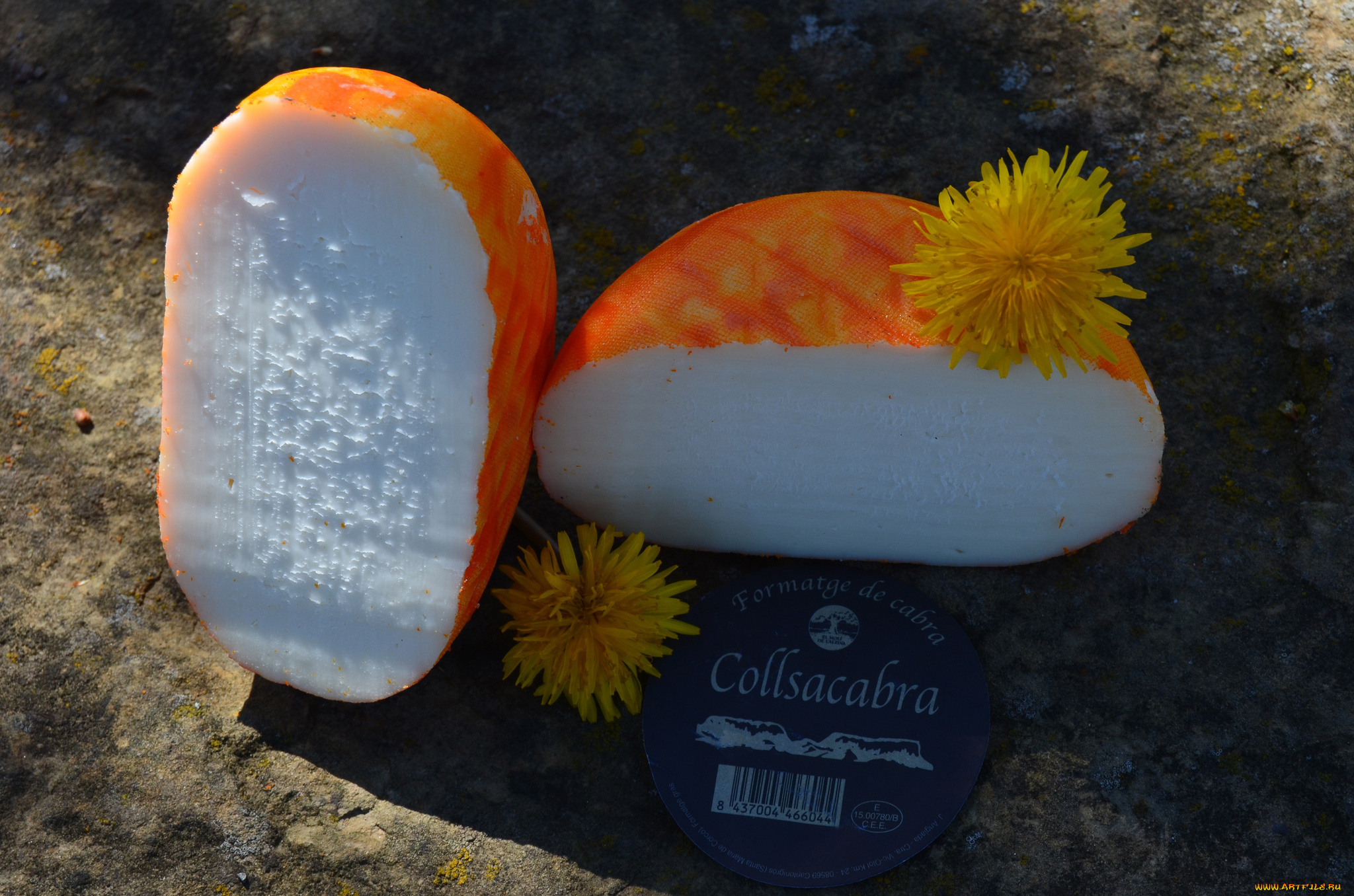 еда, сырные, изделия, сыр