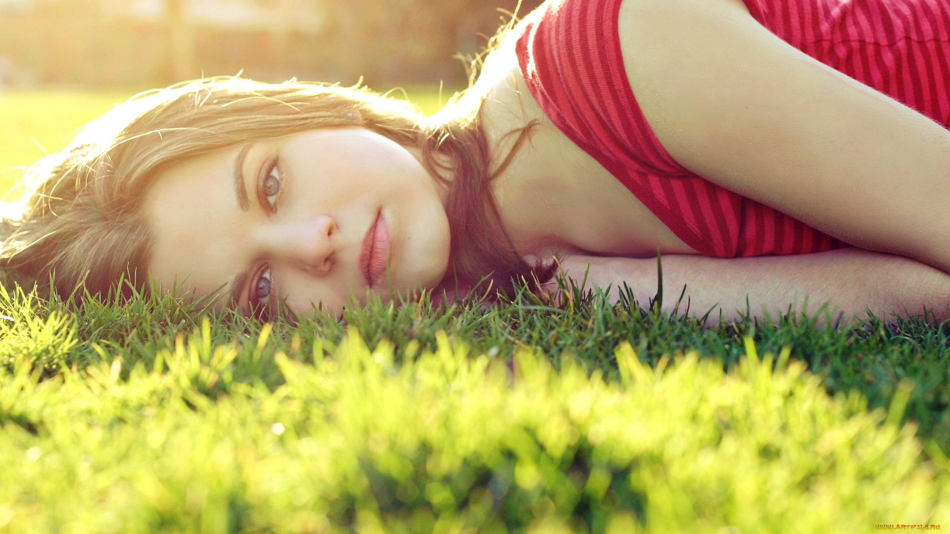 девушки, -unsort, , блондинки, взгляд, футболка, лужайка, трава