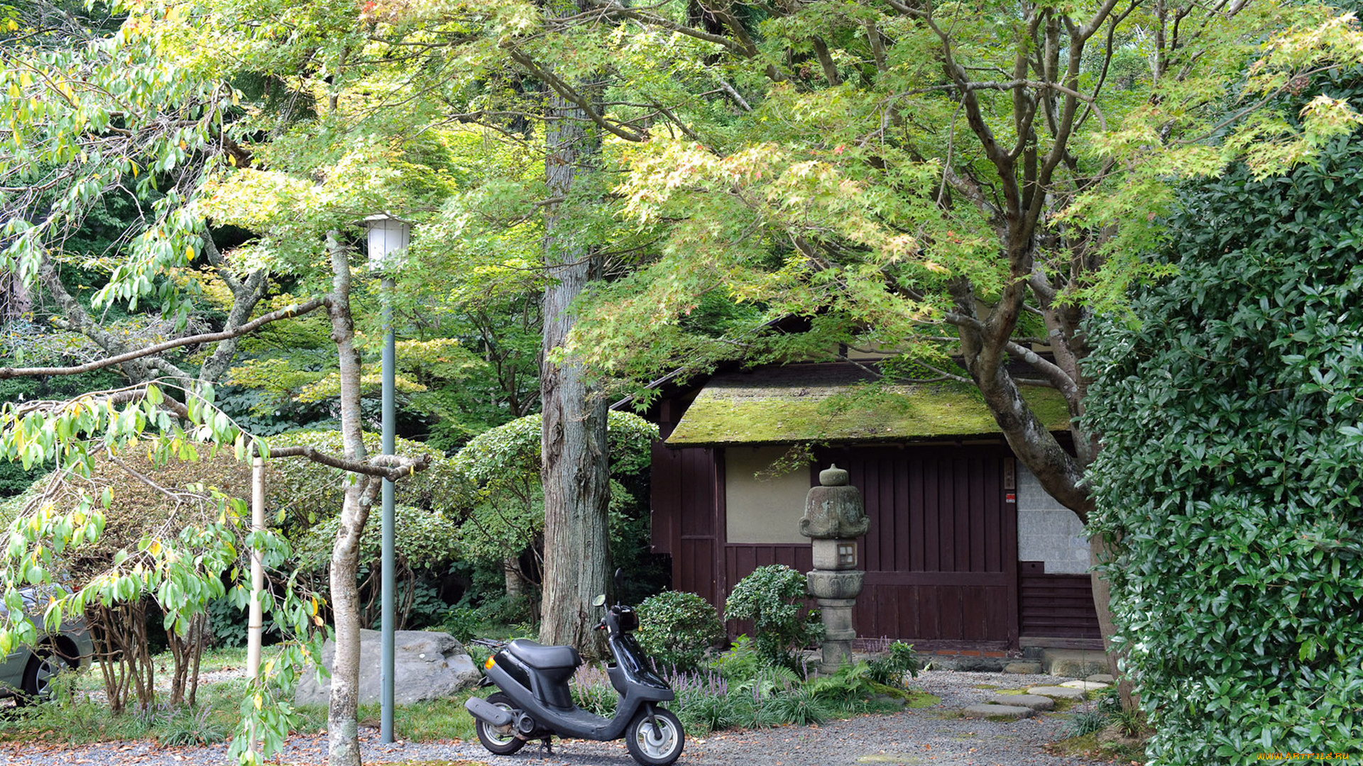 природа, парк, мопед, здание, фонари, кусты, зелень