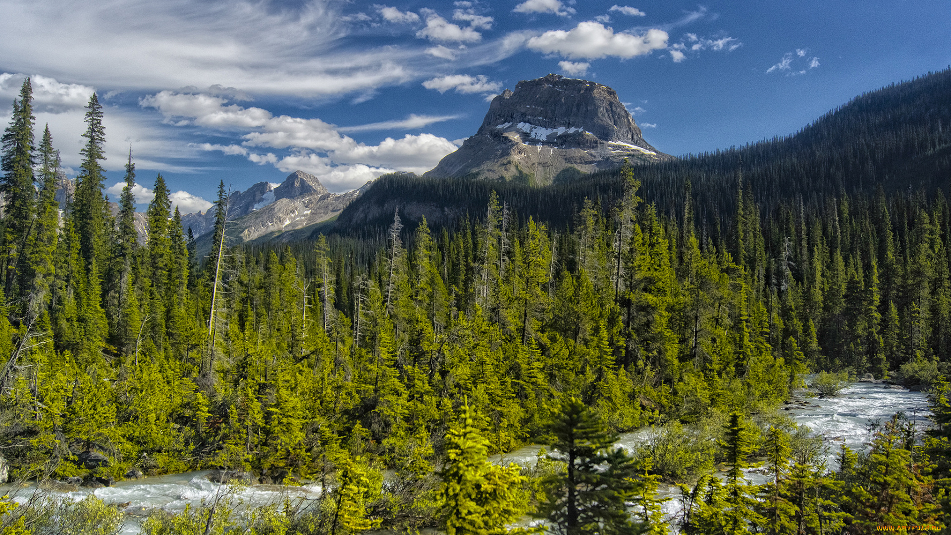 природа, реки, озера, река, лес