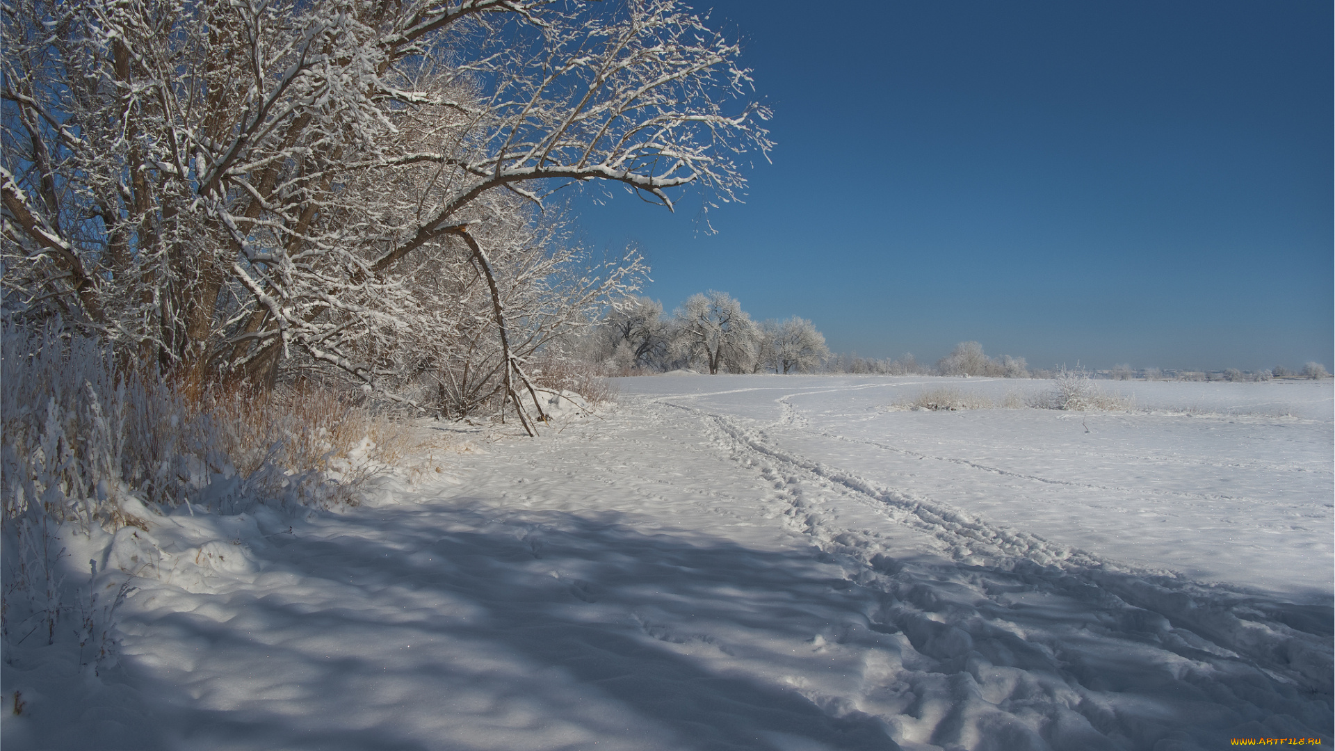 природа, зима, снег