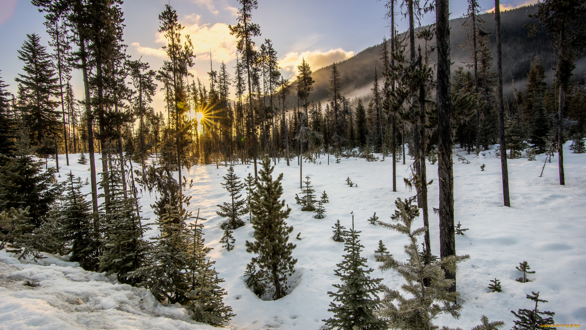 природа, зима, снег