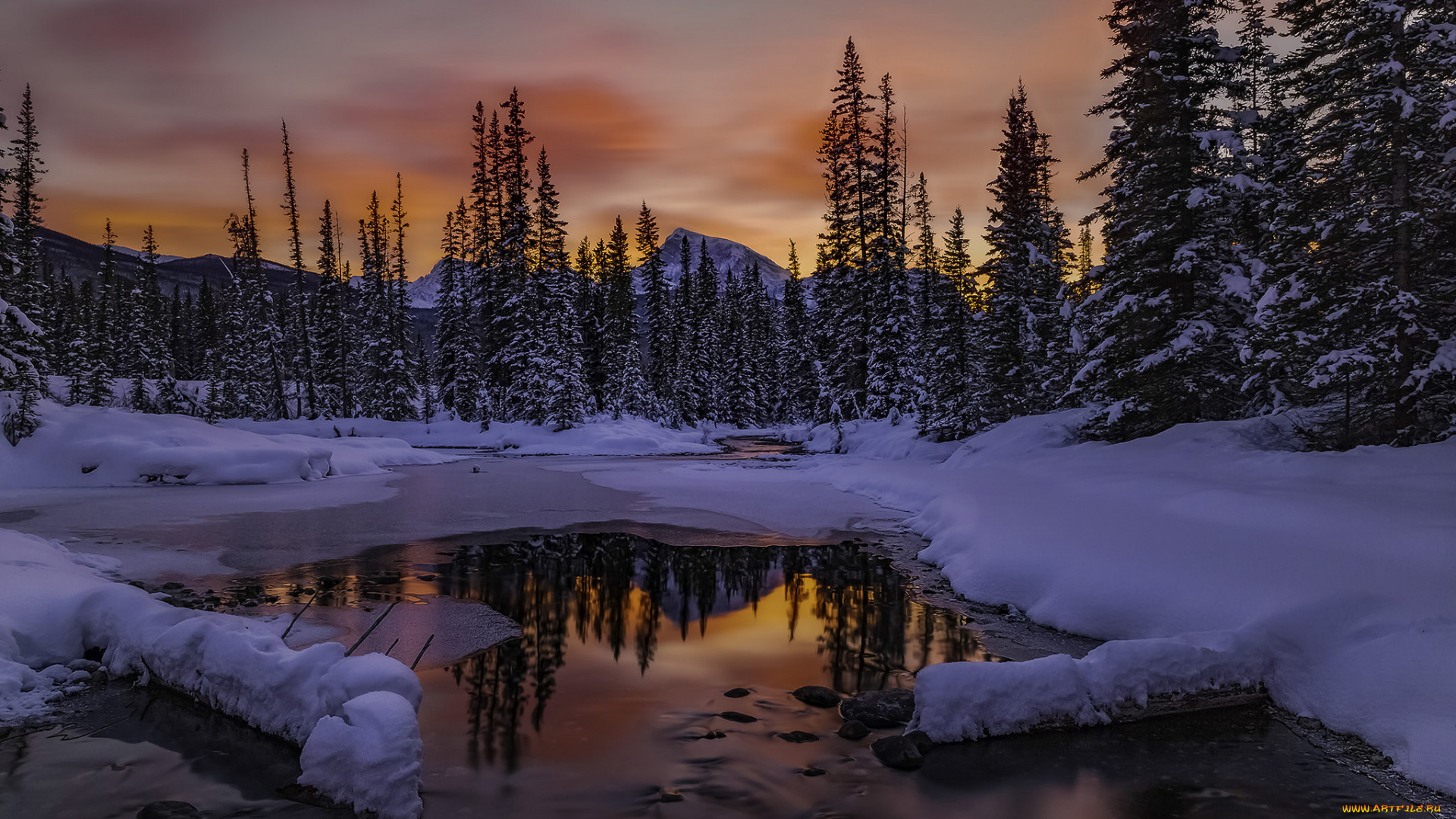 природа, зима, снег