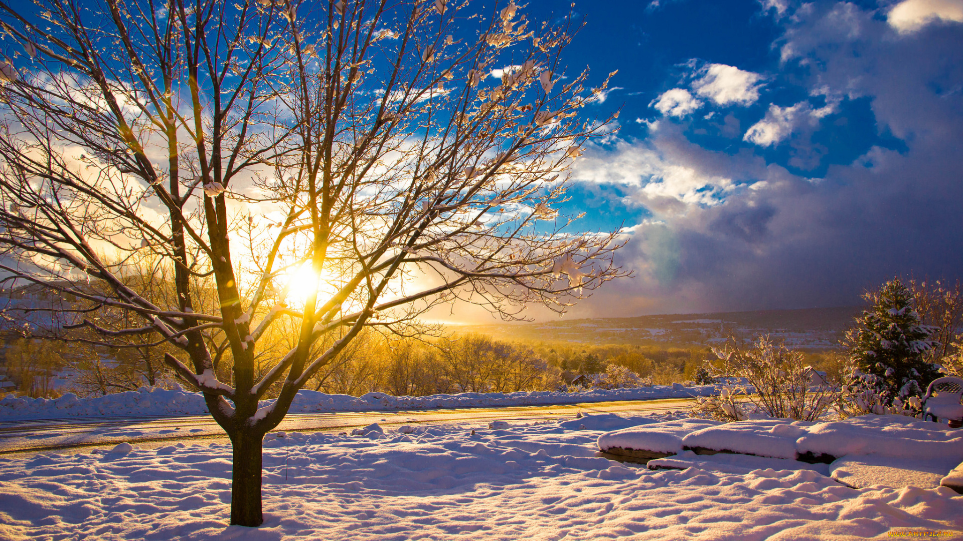 природа, зима, снег