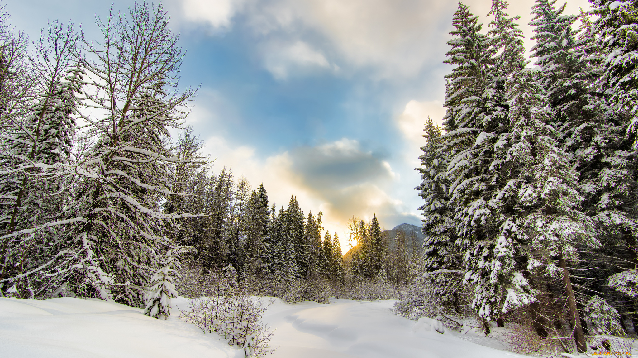 природа, зима, снег