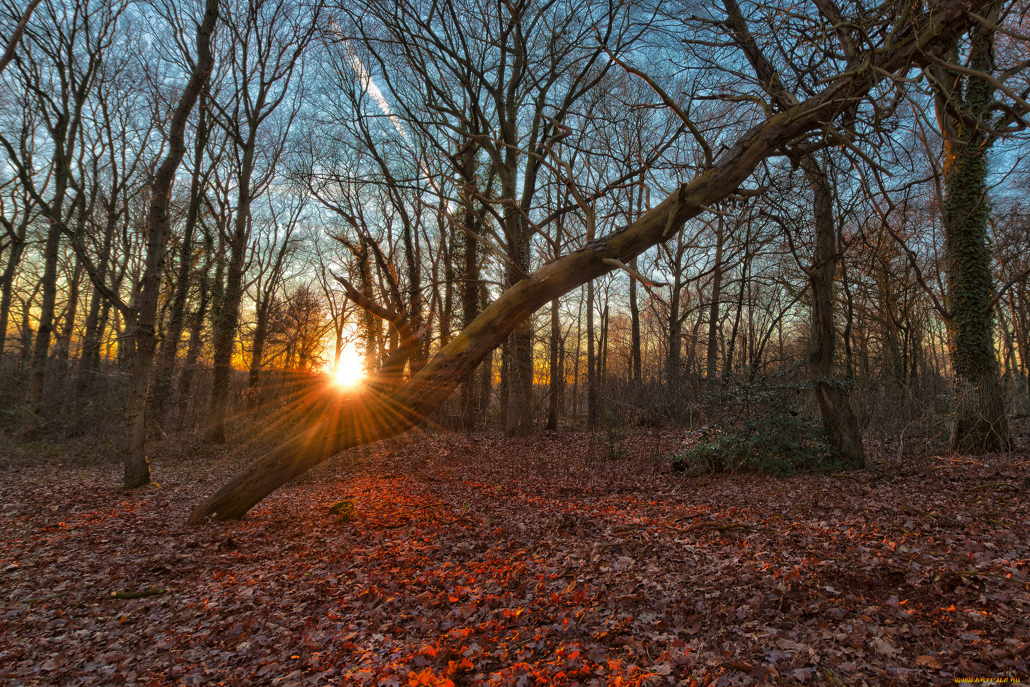 природа, восходы, закаты, рассвет