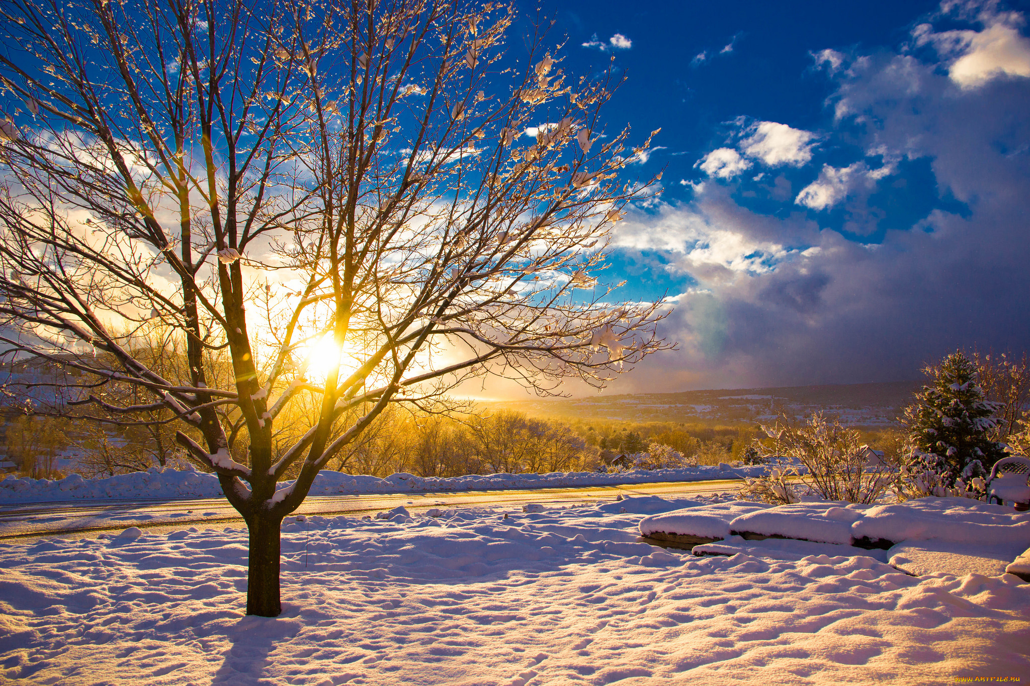 природа, зима, снег