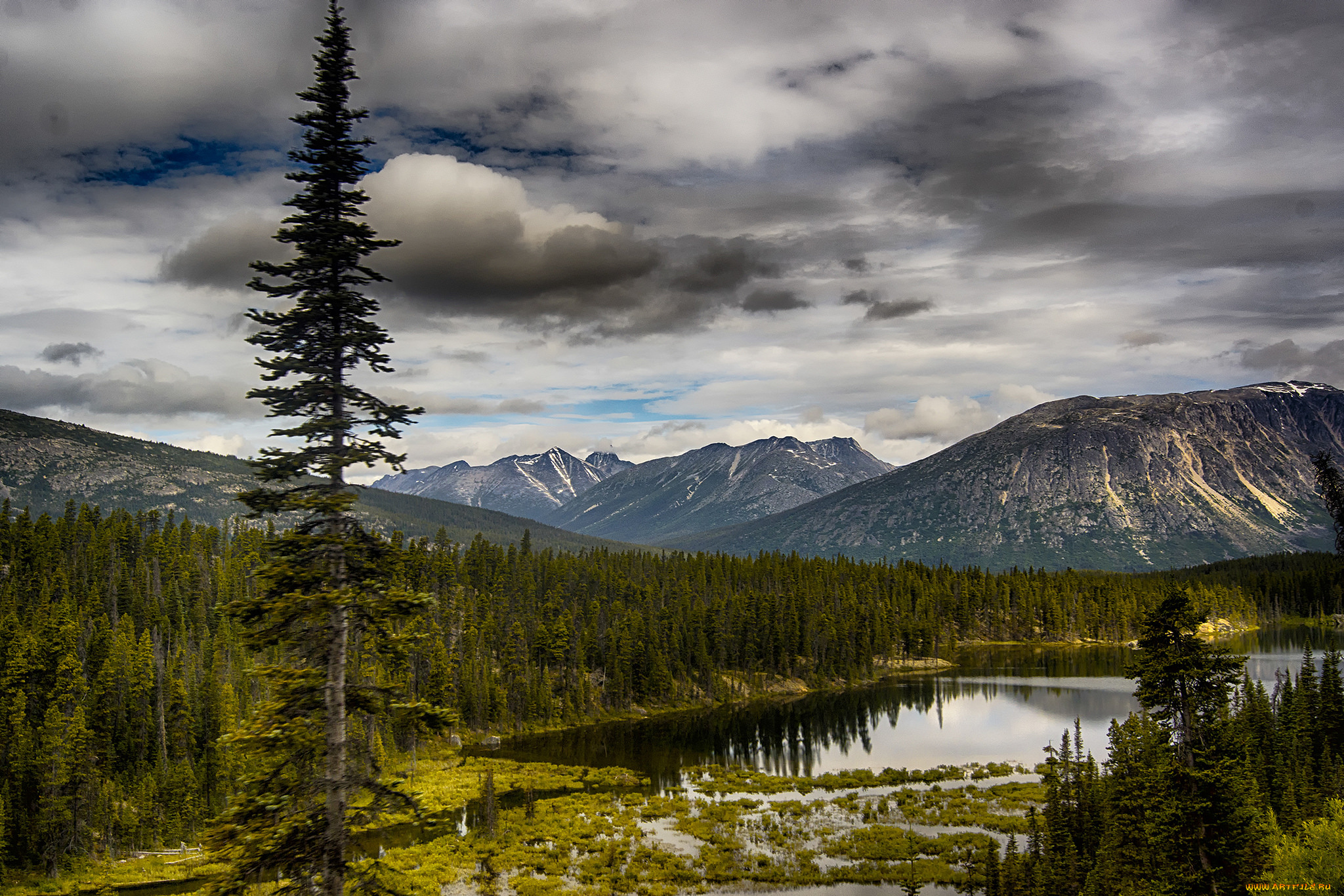 природа, реки, озера, лес, река