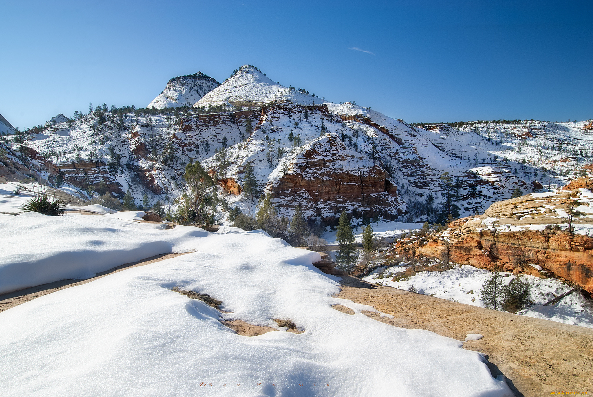 природа, зима, снег