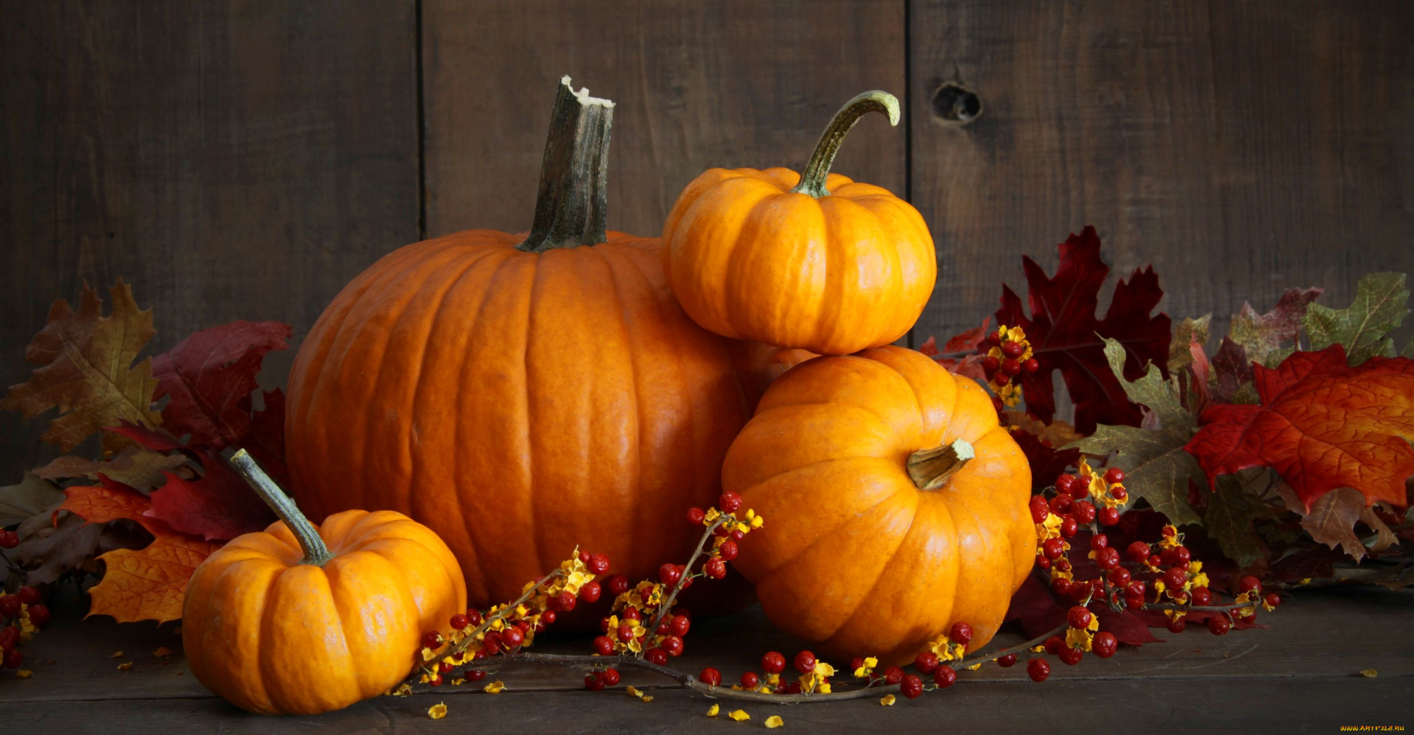 еда, тыква, осень, урожай