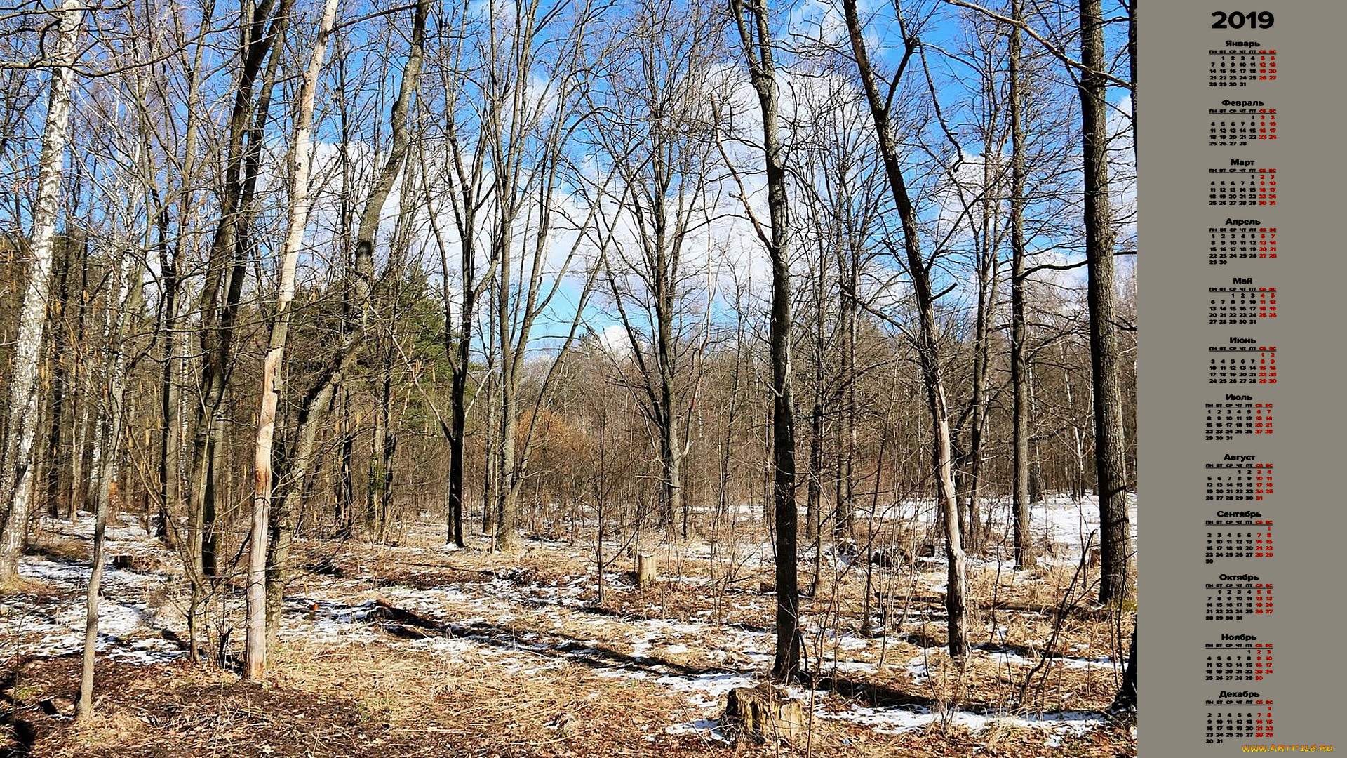 календари, природа, деревья