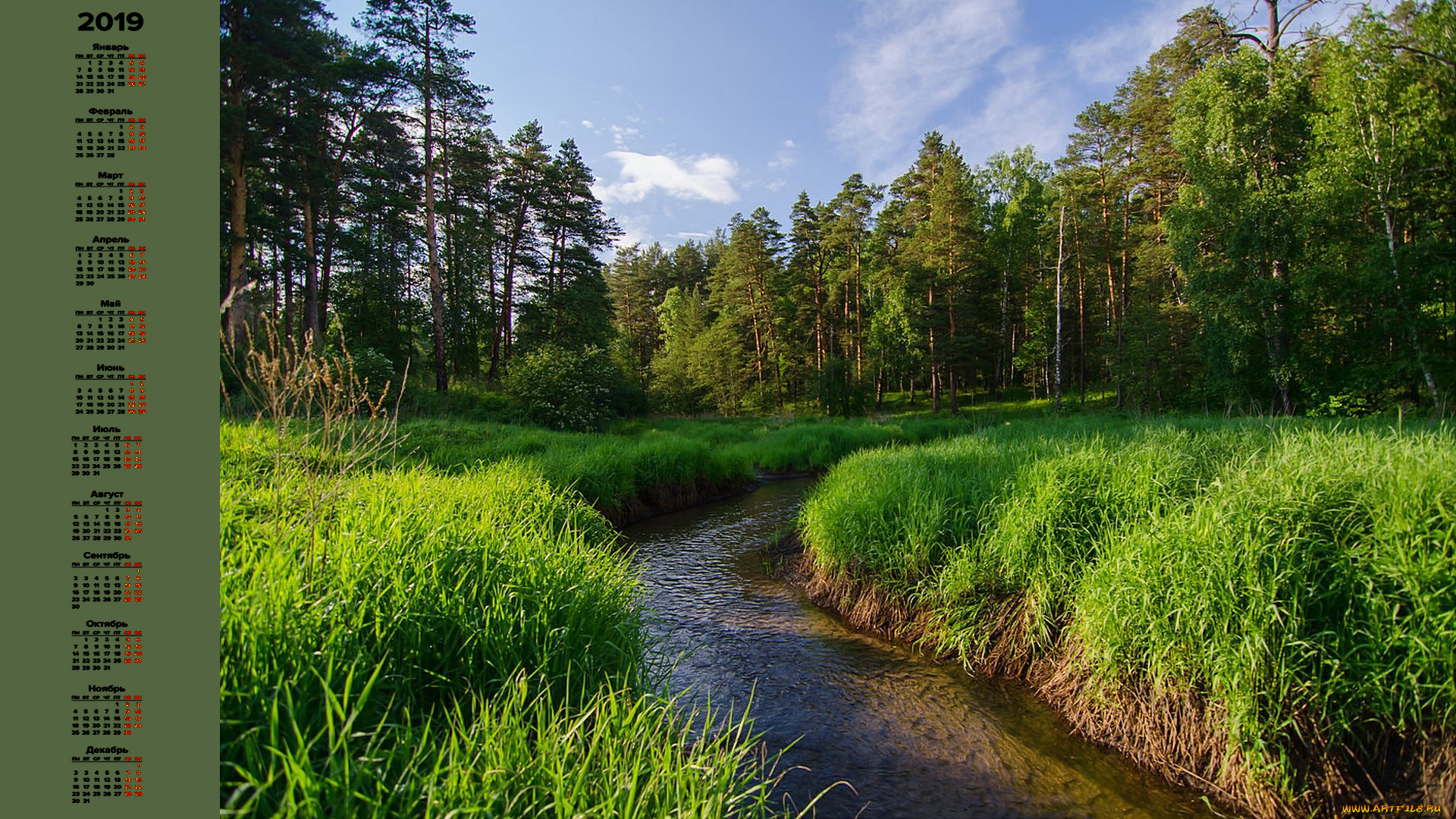 календари, природа, растения, деревья, водоем