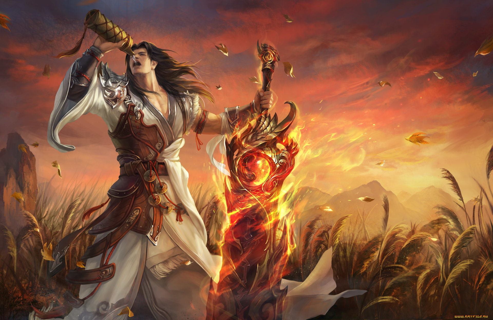 видео, игры, ~~~другое~~~, парень, огонь, поле, меч, вода