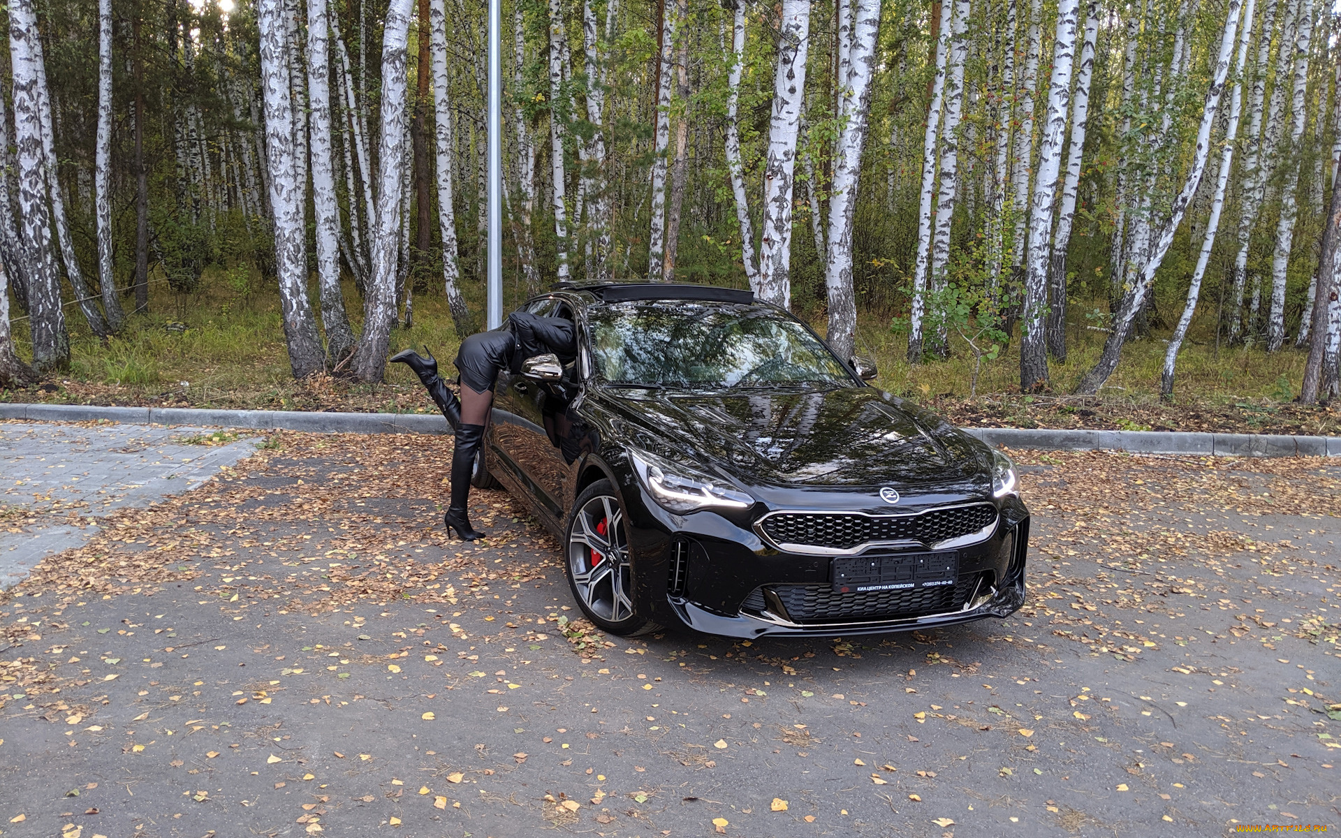 автомобили, -авто, с, девушками, kia, stinger