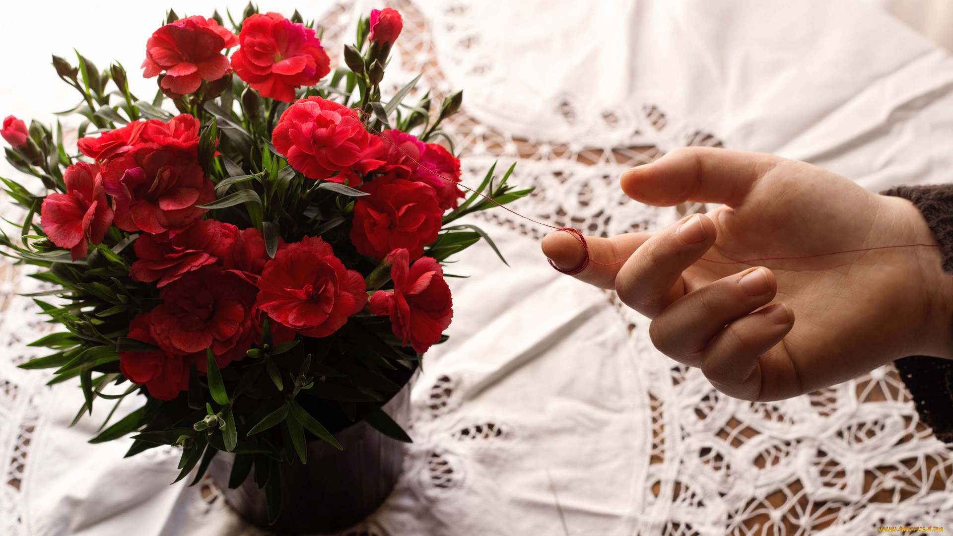 разное, руки, , ноги, букет, рука, гвоздика, красная, нить