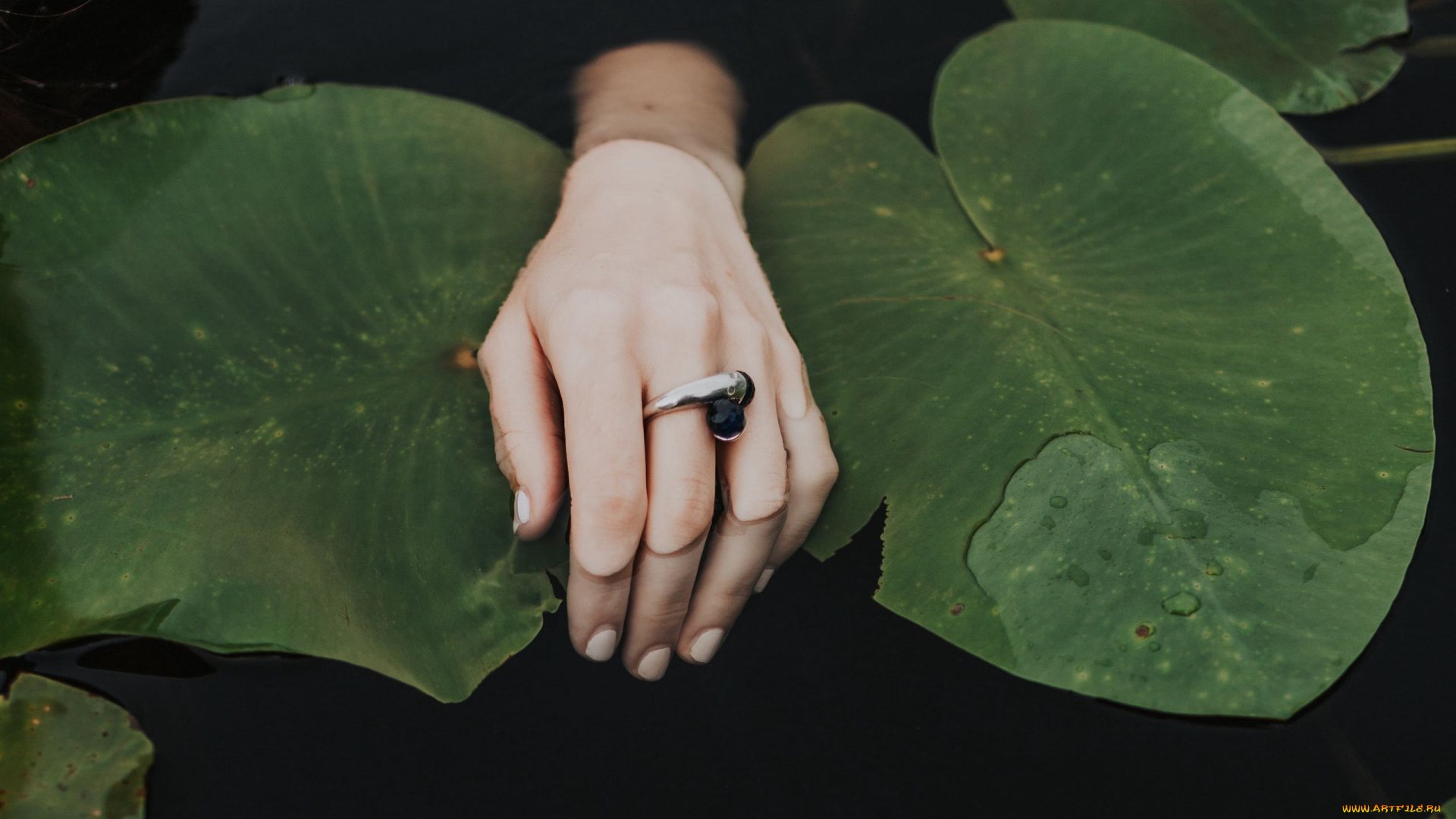 разное, руки, , ноги, вода, рука, листья, кольцо