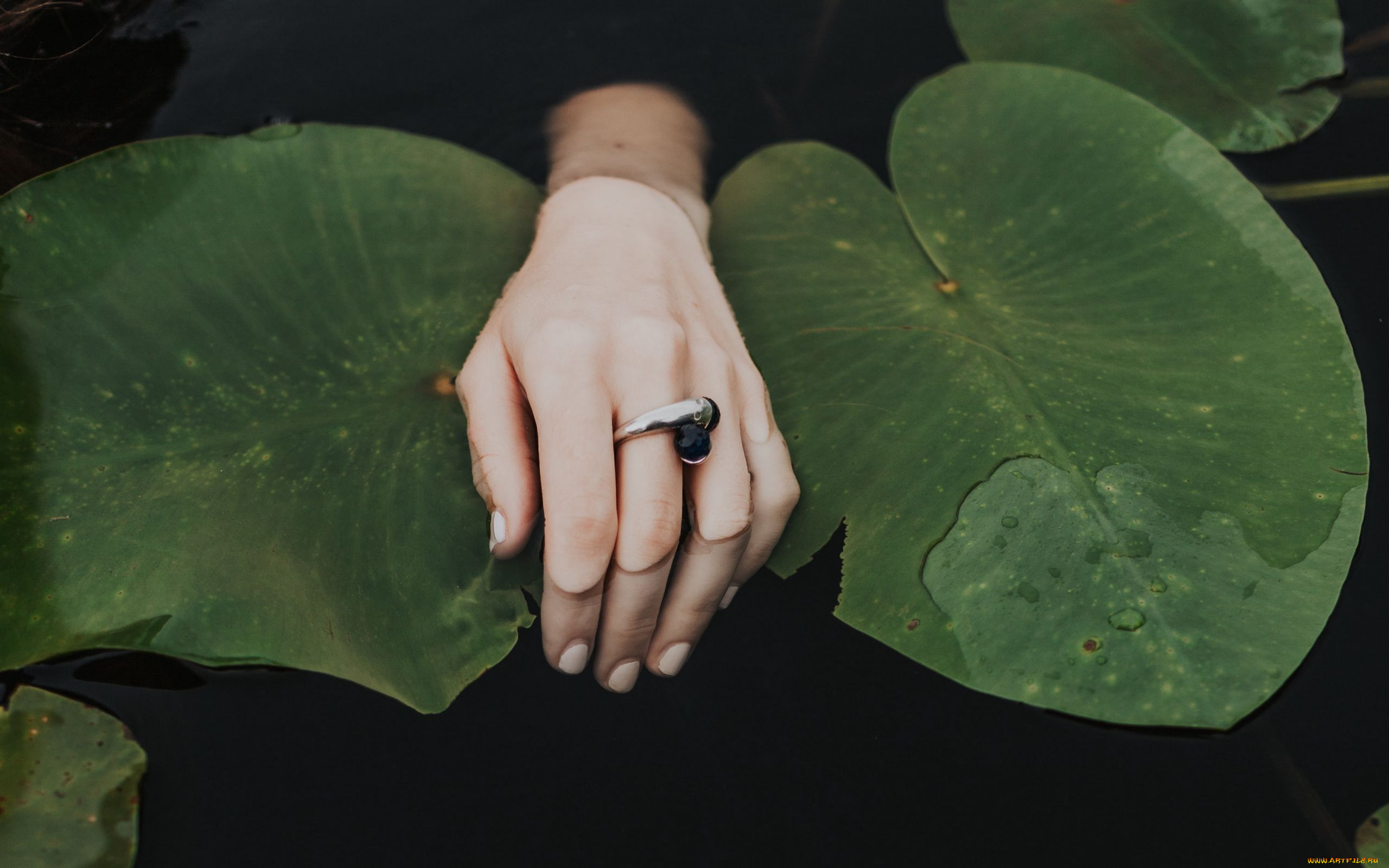 разное, руки, , ноги, вода, рука, листья, кольцо