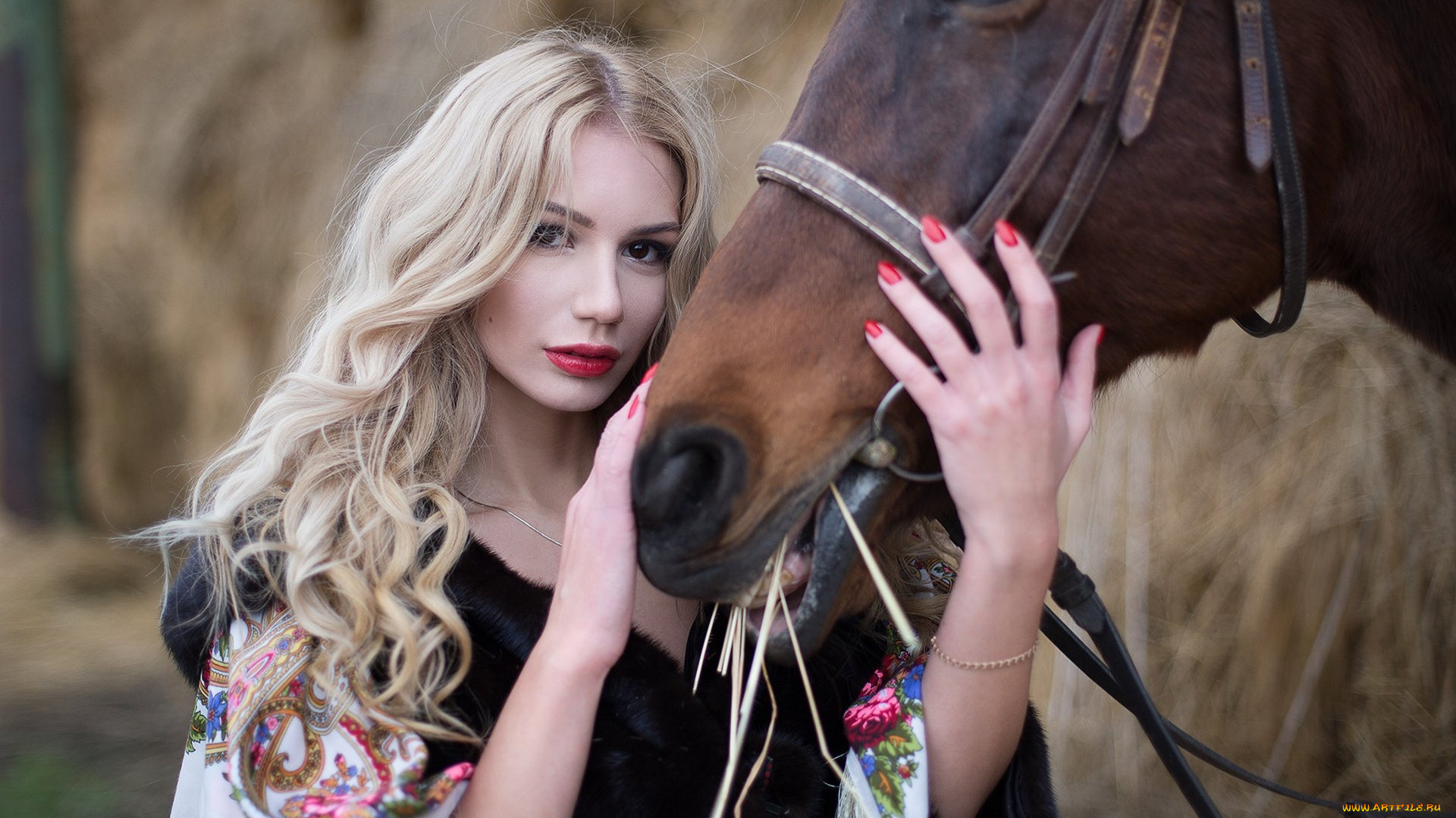 девушки, -, блондинки, , светловолосые, блондинка, взгляд, лошадь, платок