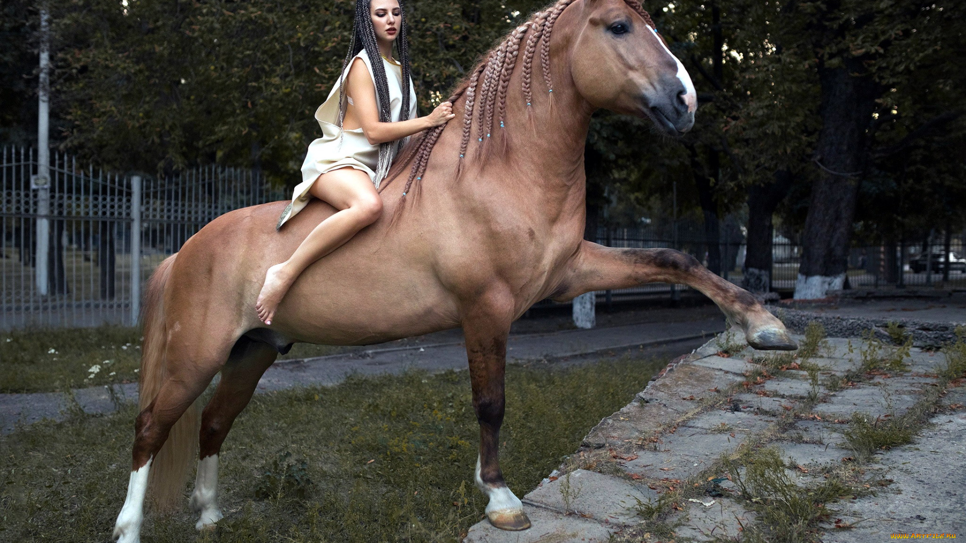 девушки, -, брюнетки, , шатенки, лошадь, брюнетка, наездница, дреды