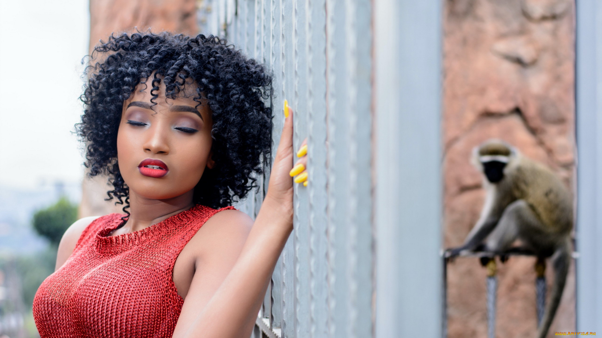 девушки, -, темнокожие, бюст, локоны, закрытые, глаза