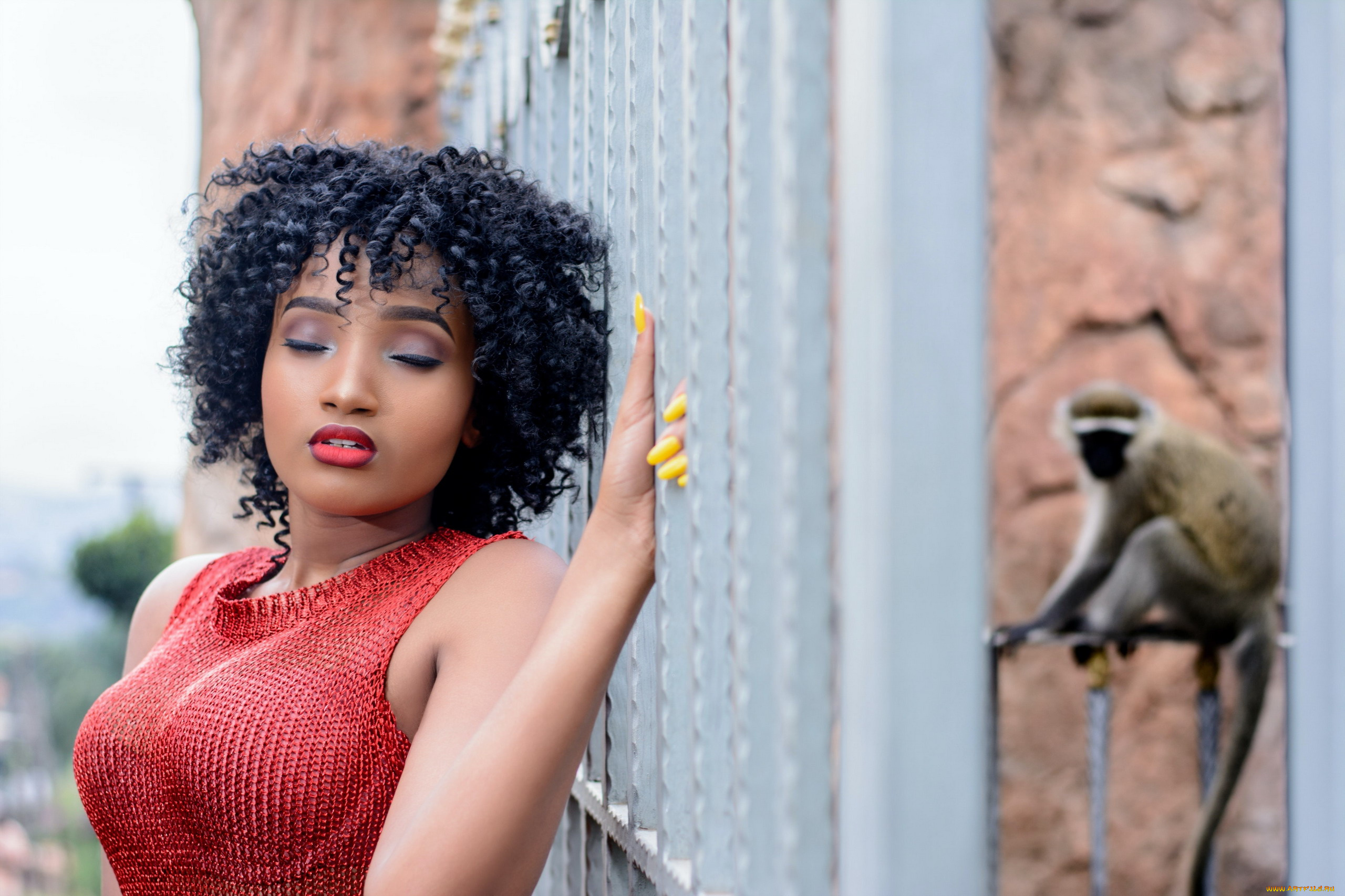 девушки, -, темнокожие, бюст, локоны, закрытые, глаза