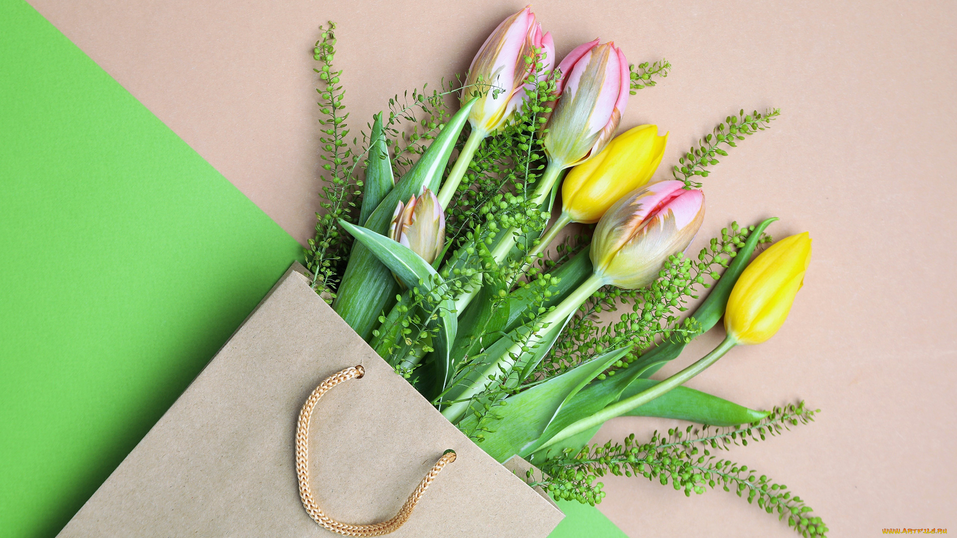 цветы, тюльпаны, пакет