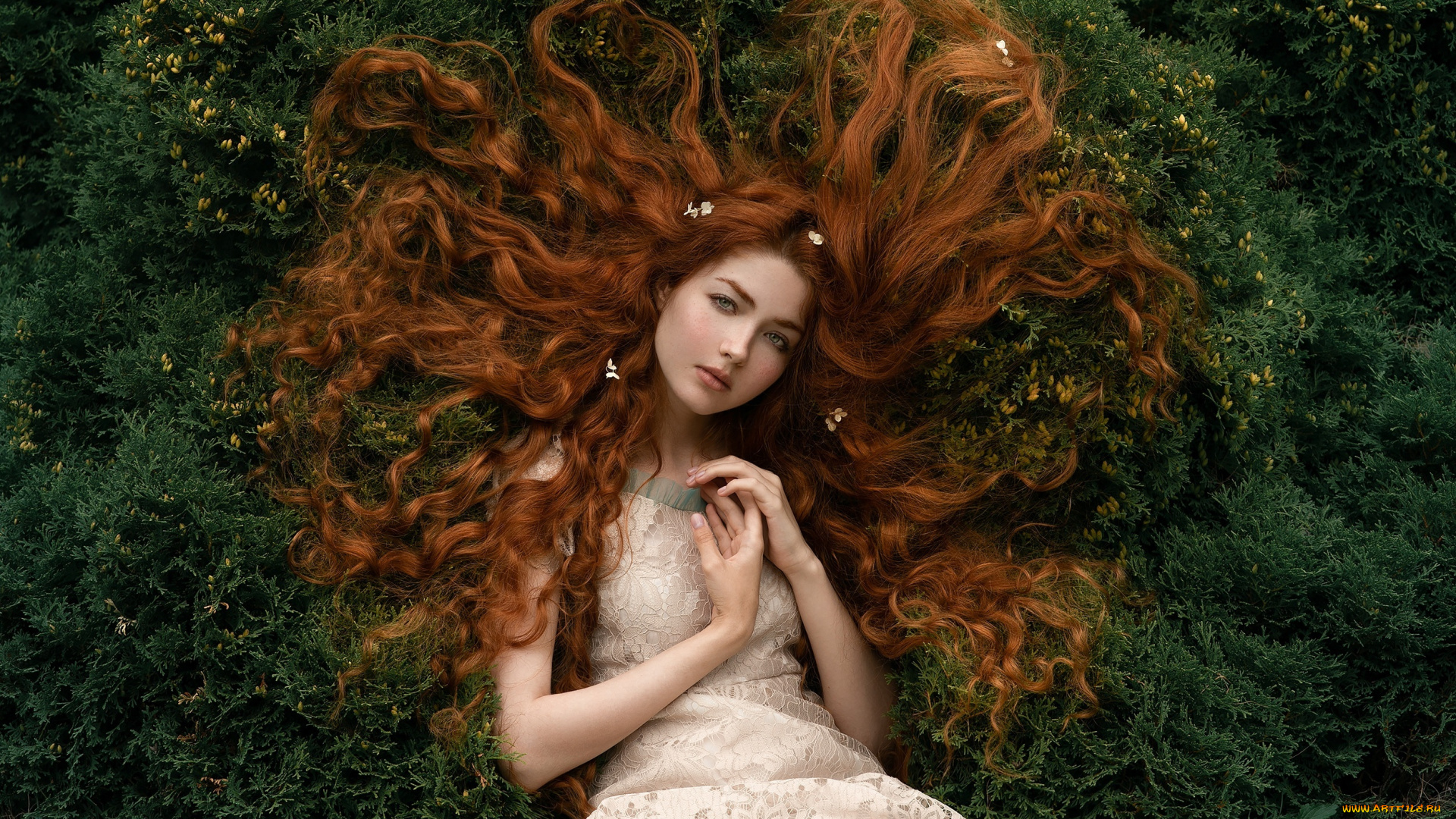 девушки, -, рыжеволосые, и, разноцветные, девушка, позирует, галина, жижикина