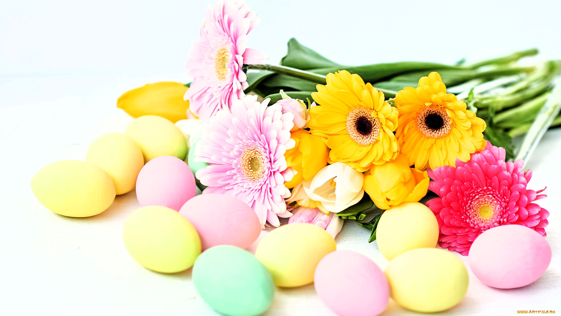 праздничные, пасха, яйца, цветы, герберы, тюльпаны