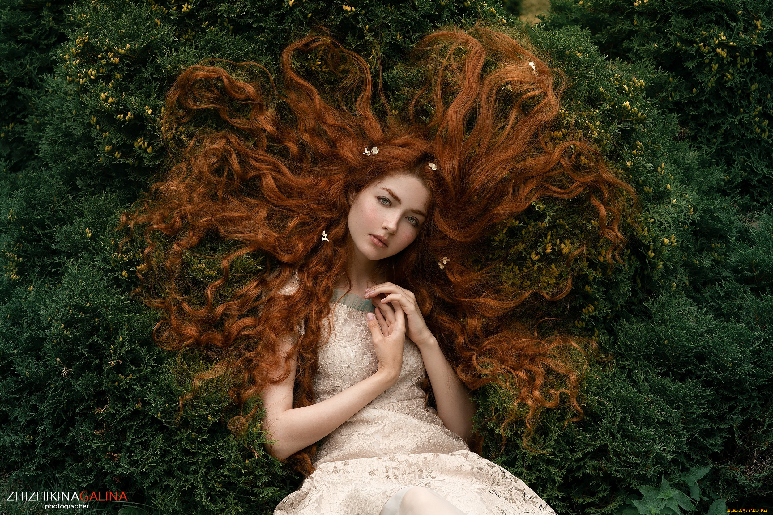 девушки, -, рыжеволосые, и, разноцветные, девушка, позирует, галина, жижикина