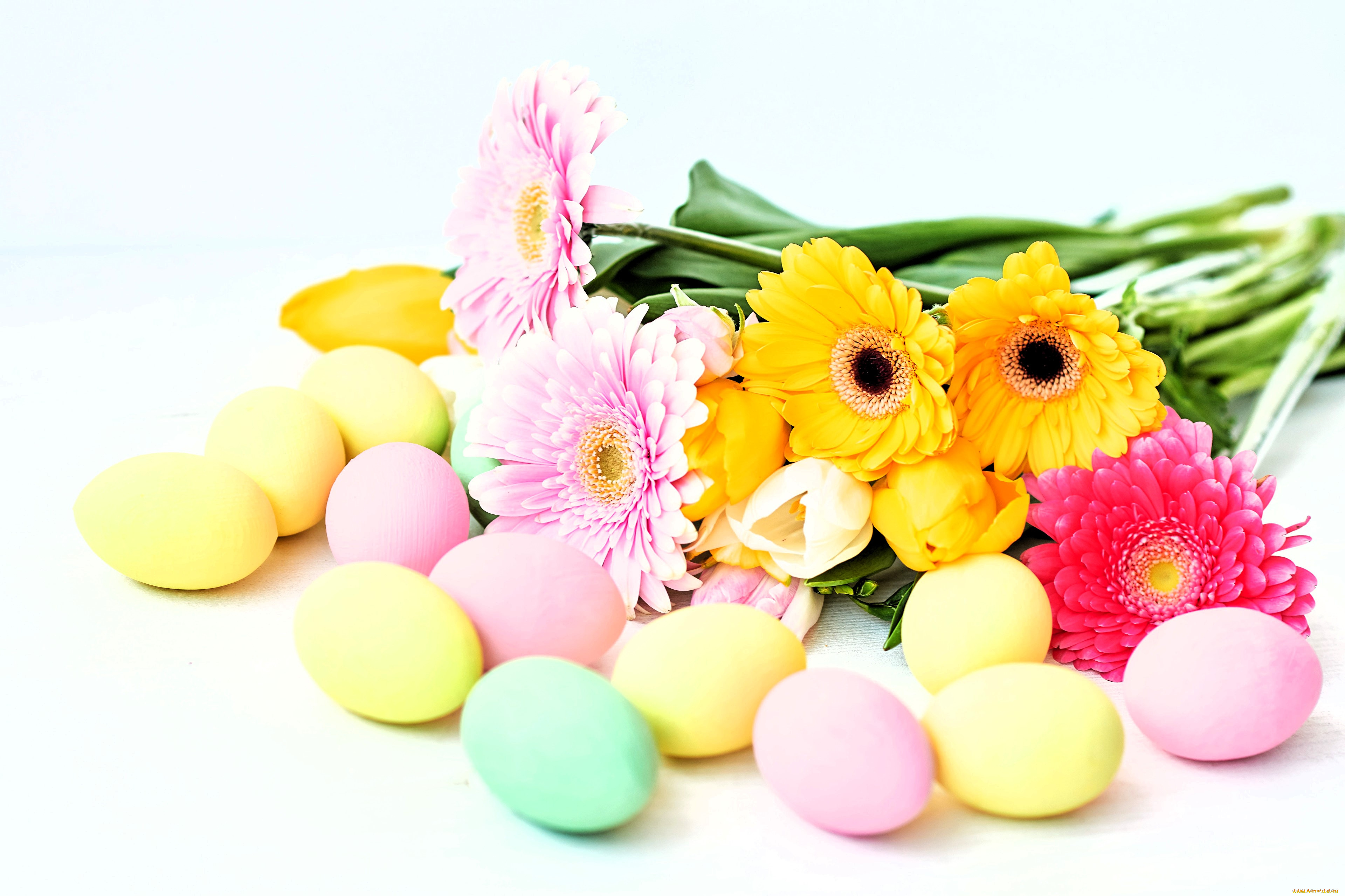 праздничные, пасха, яйца, цветы, герберы, тюльпаны